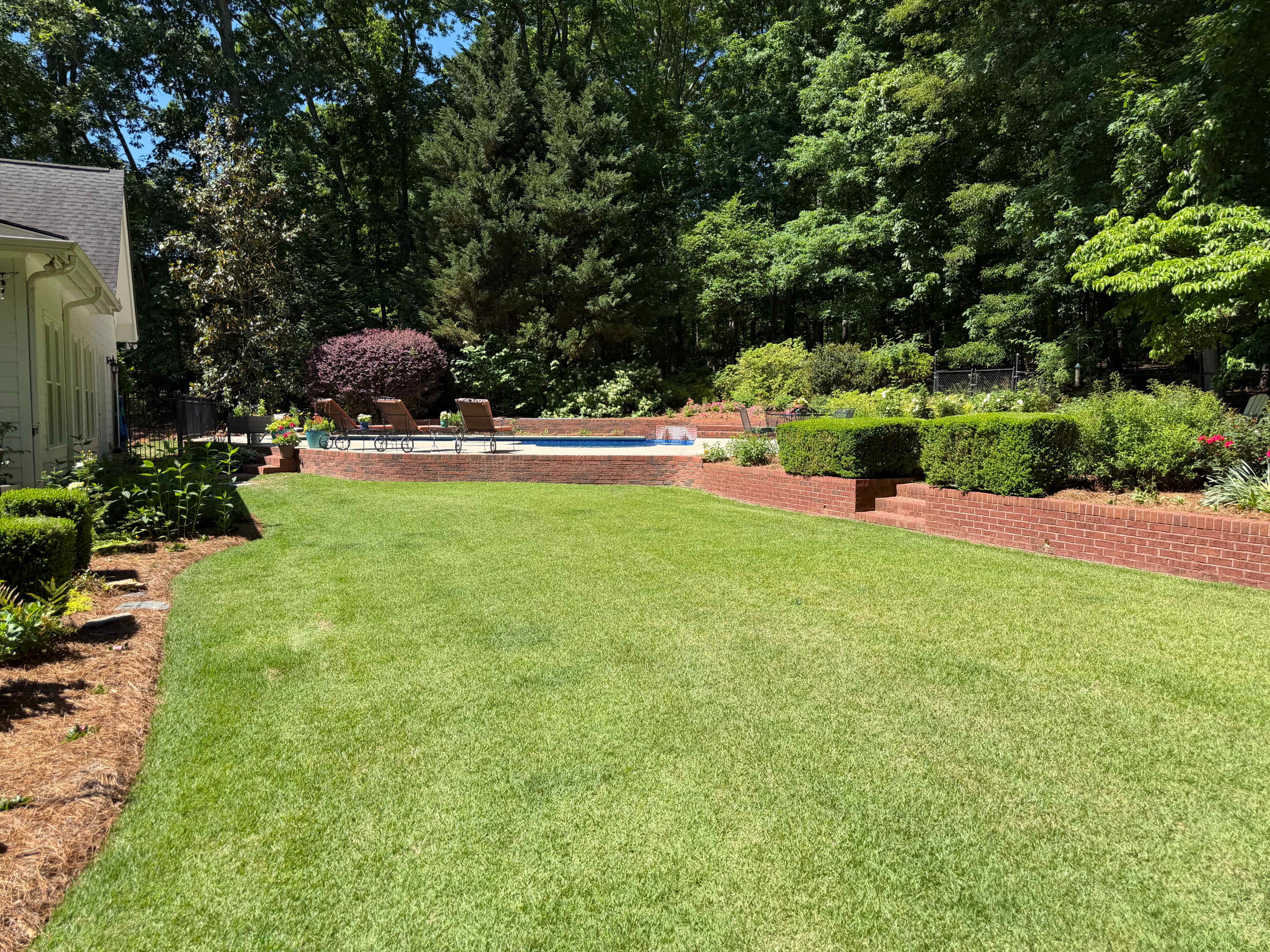 The image shows a manicured backyard featuring a swimming pool surrounded by brick landscaping and neatly trimmed hedges, with a lawn of lush green grass.