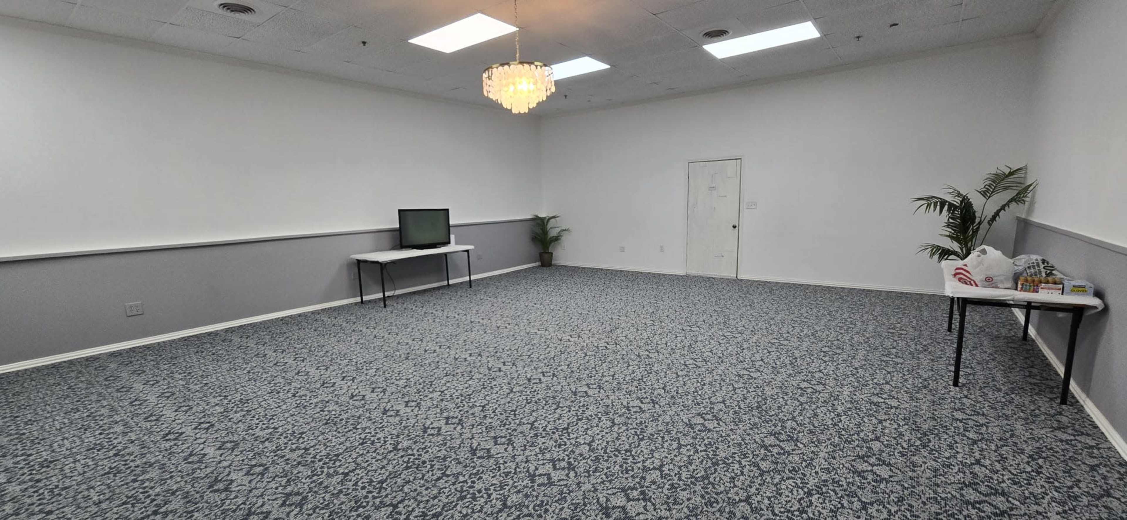 The image shows a spacious, empty room with a patterned carpet, a television on a table, a door, and a small plant in the corner.