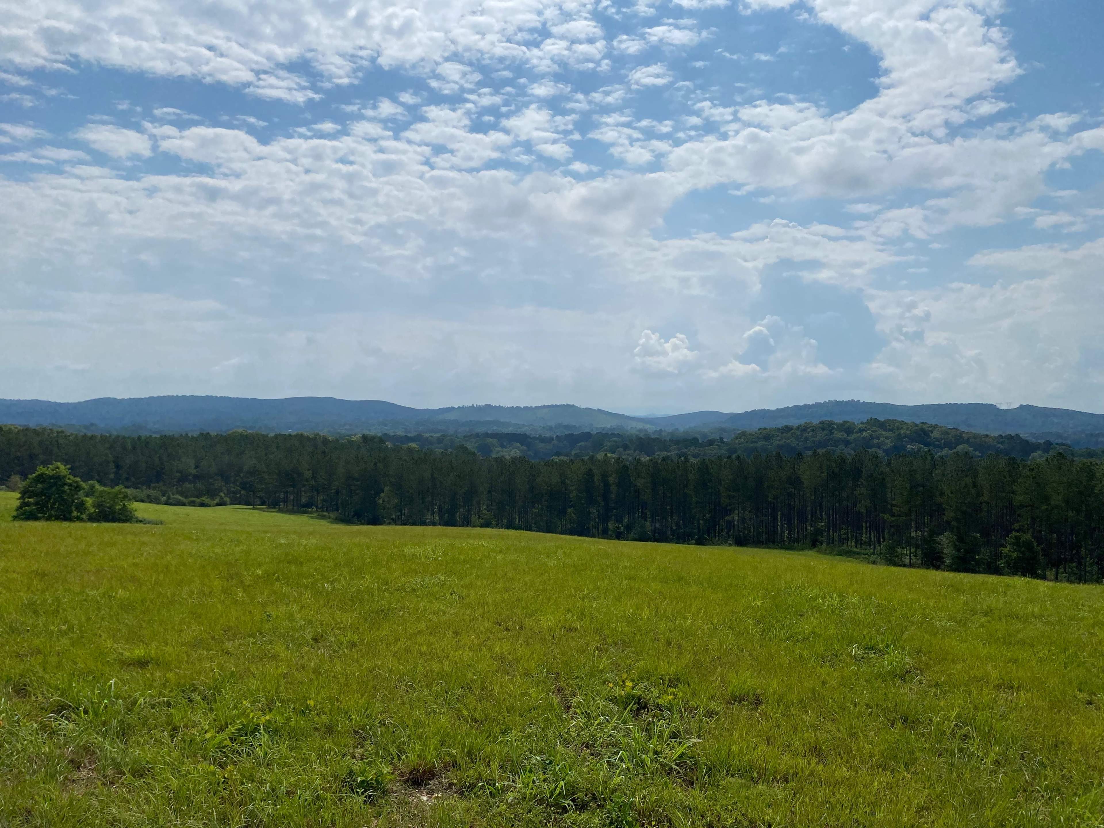 A wide view of a grassy field extends toward a line of trees and rolling hills under a cloudy sky.