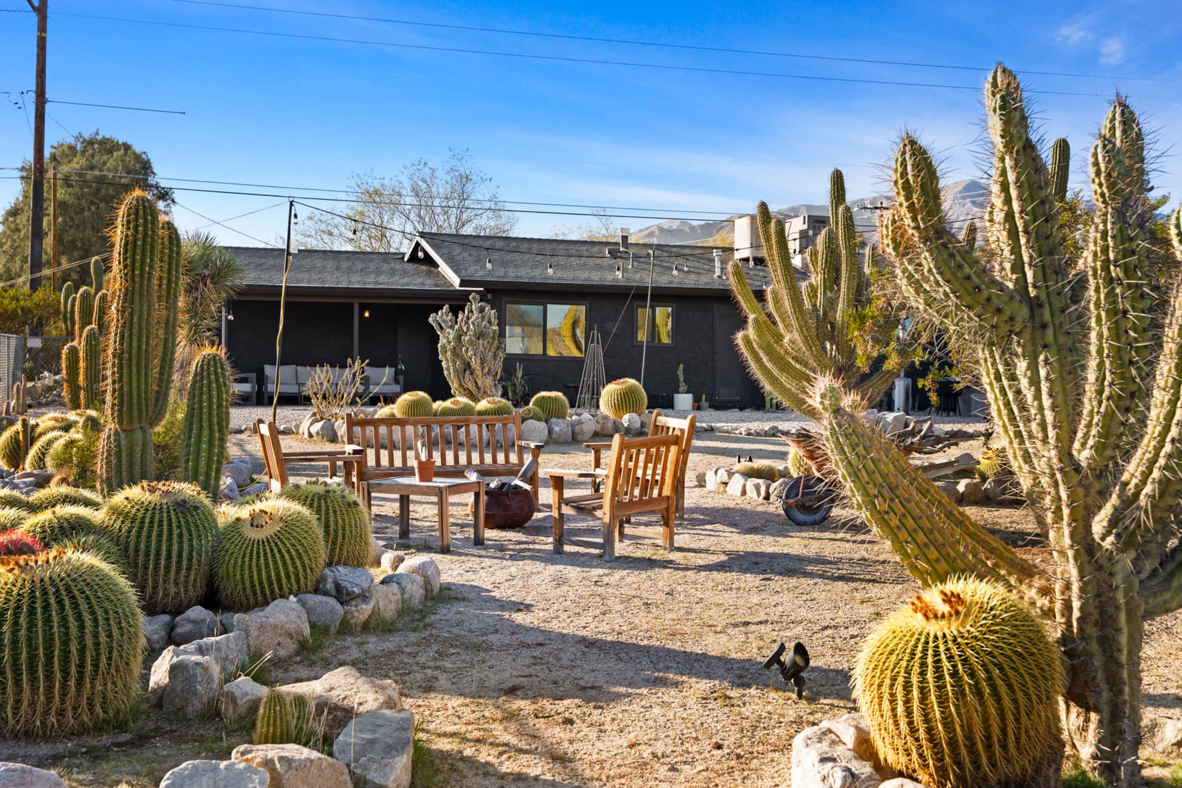 A desert home sitting in a cactus-filled botanical garden Image in , MORONGO VALLEY, CA