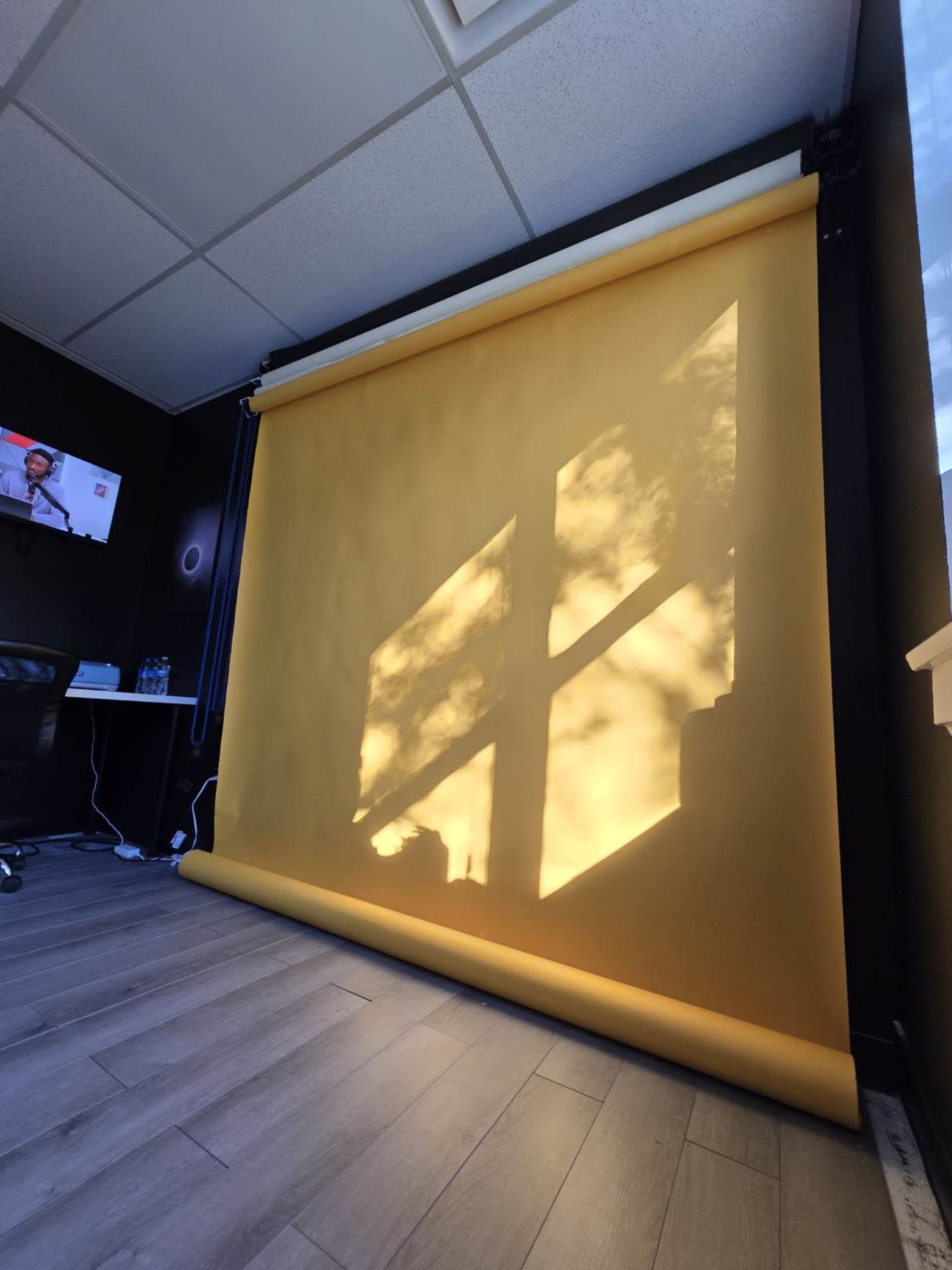 A yellow backdrop is illuminated by sunlight, casting shadows of a window and nearby foliage onto its surface.