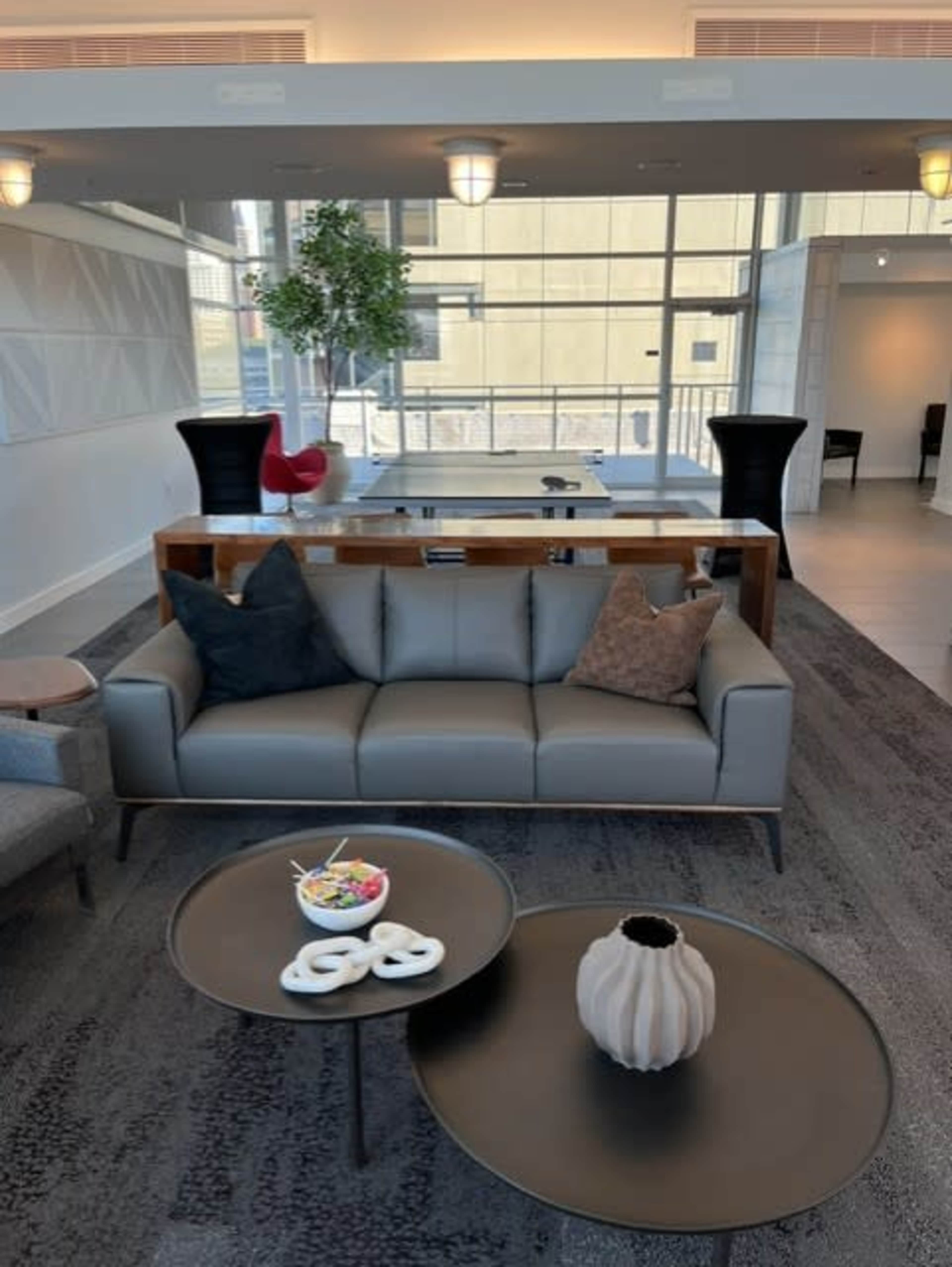 The image shows a modern lounge area featuring a gray sofa with various cushions, two round coffee tables, and a large window letting in natural light.