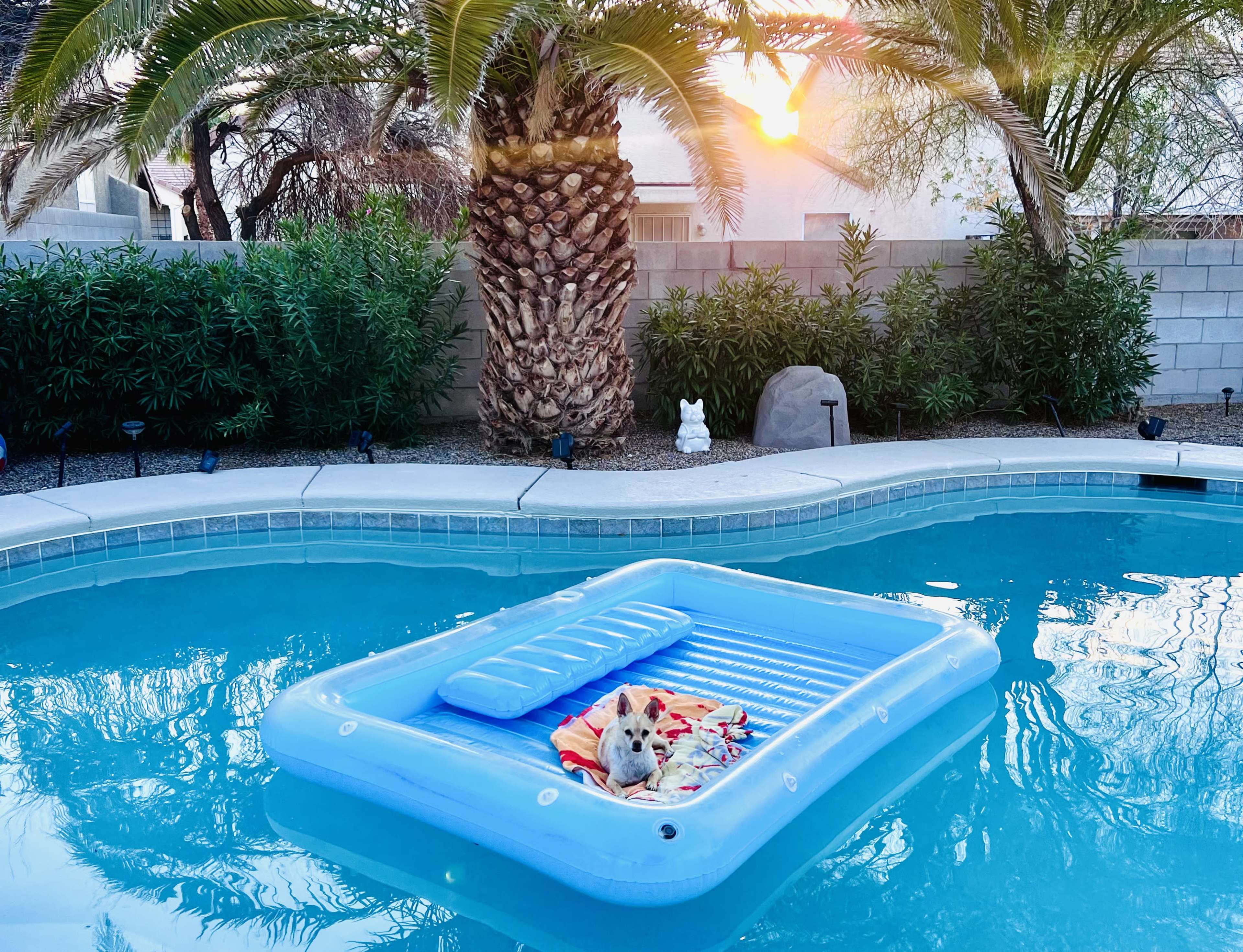 An inflatable raft with a towel is floating in a swimming pool, surrounded by palm trees and a garden.
