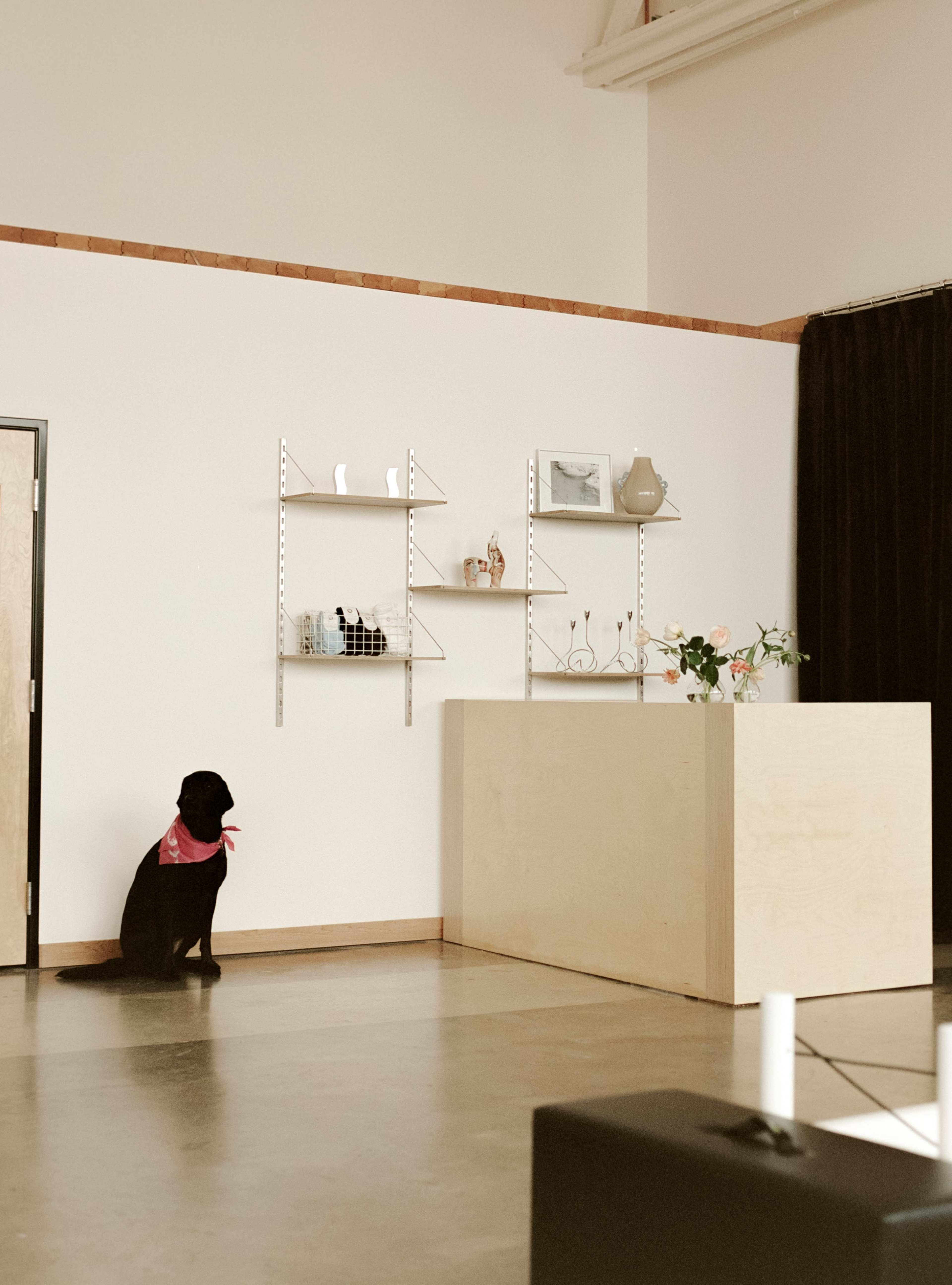 Bright Form Pilates Studio Image in Northeast Portland, Portland, OR