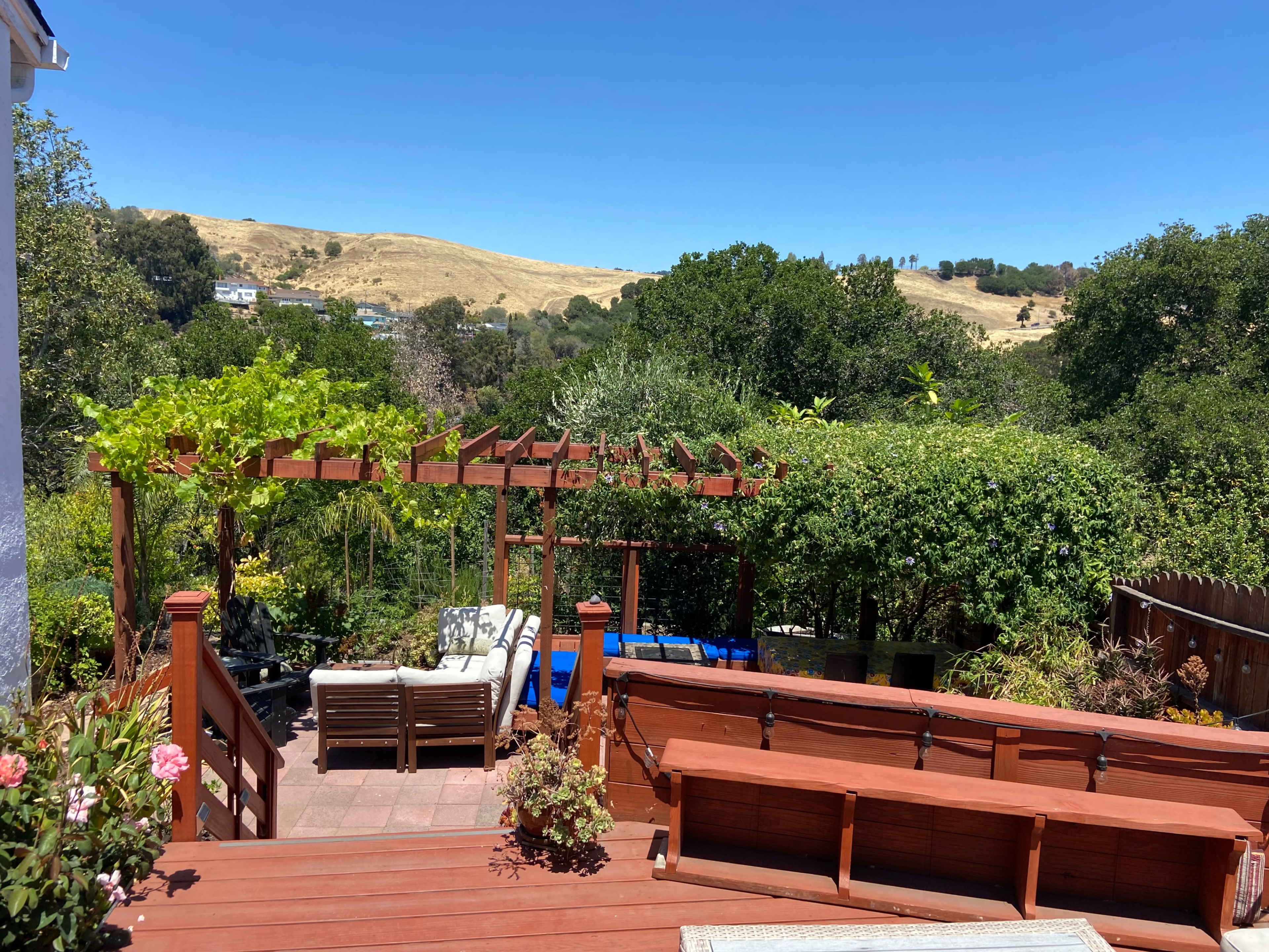 A backyard with a wooden deck, pergola covered in greenery, and a scenic view of rolling hills in the background.