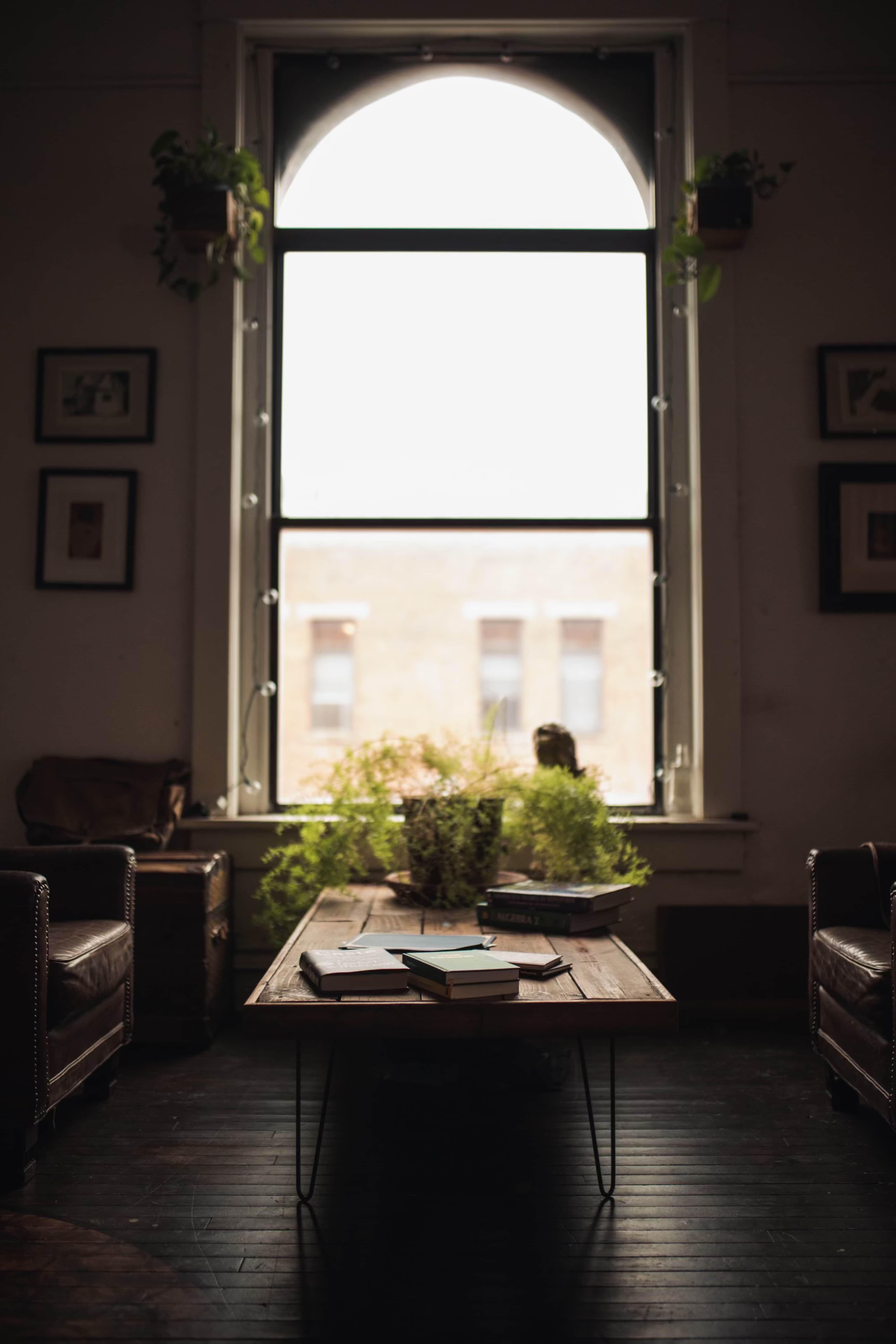 A wooden coffee table with books sits in front of a large window adorned with indoor plants in a dimly lit room.