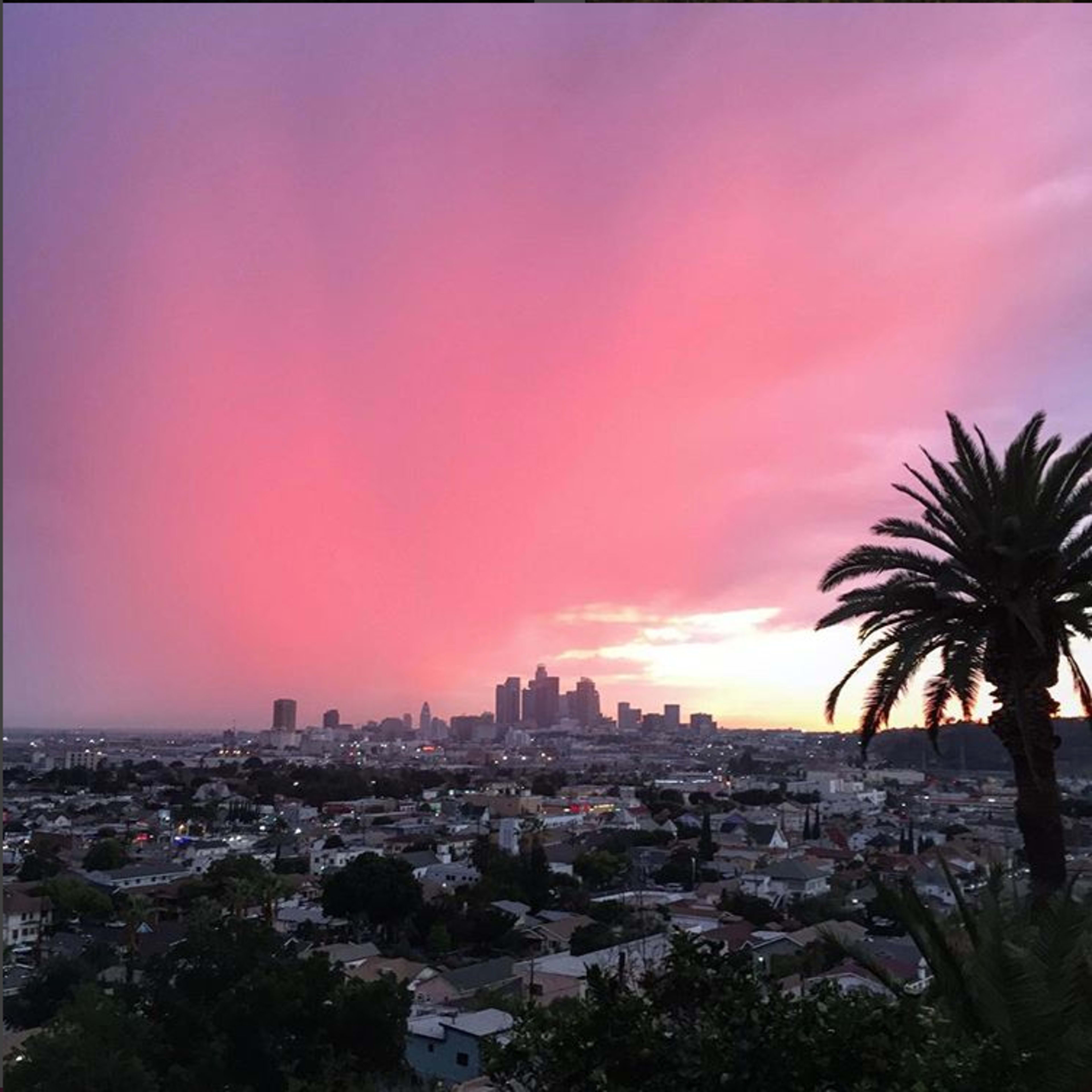 A view of the Los Angeles skyline beneath a pink and purple sky at sunset, with palm trees in the foreground.