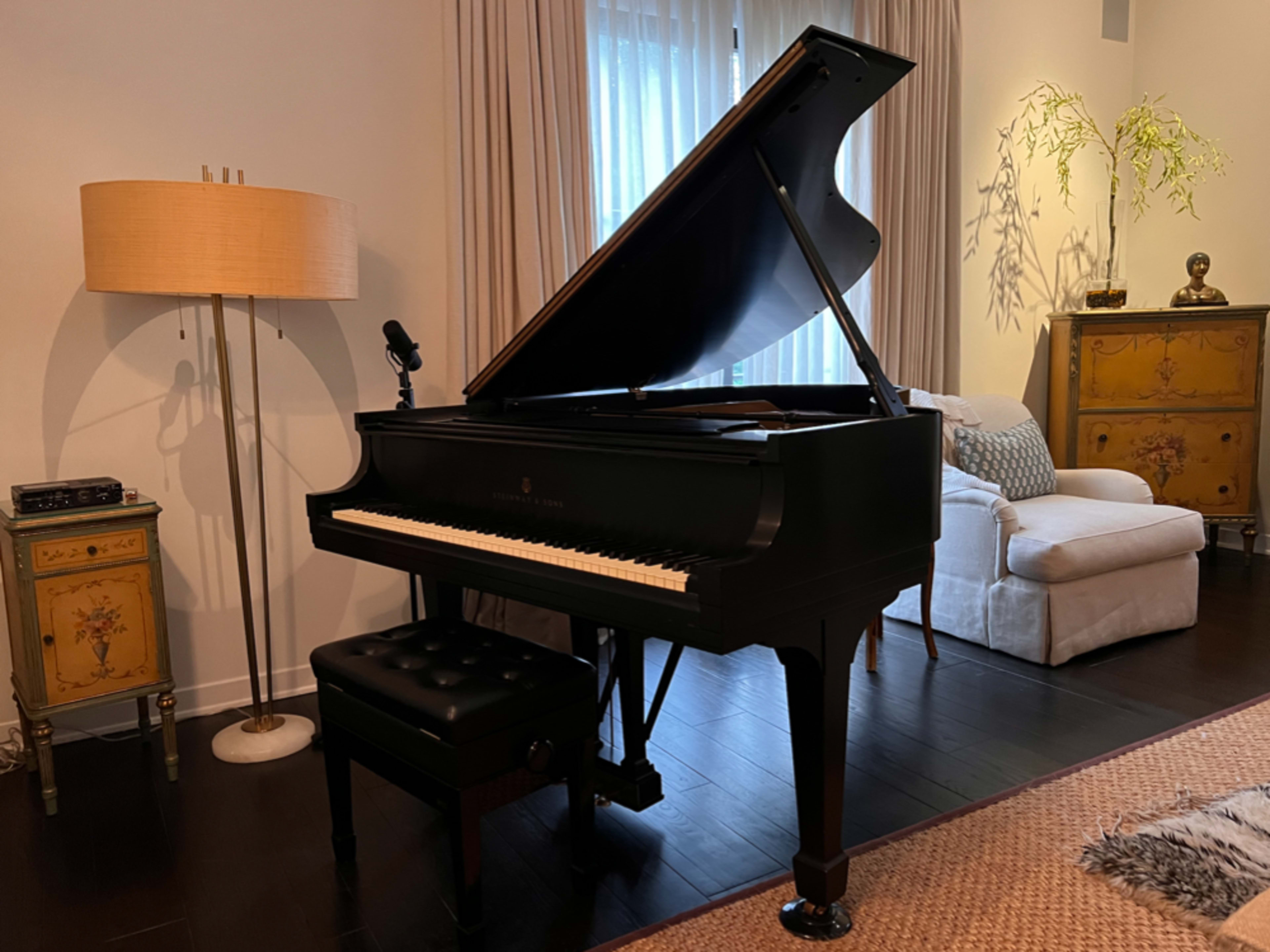 Vintage Steinway Grand Piano with Earthworks PM40 