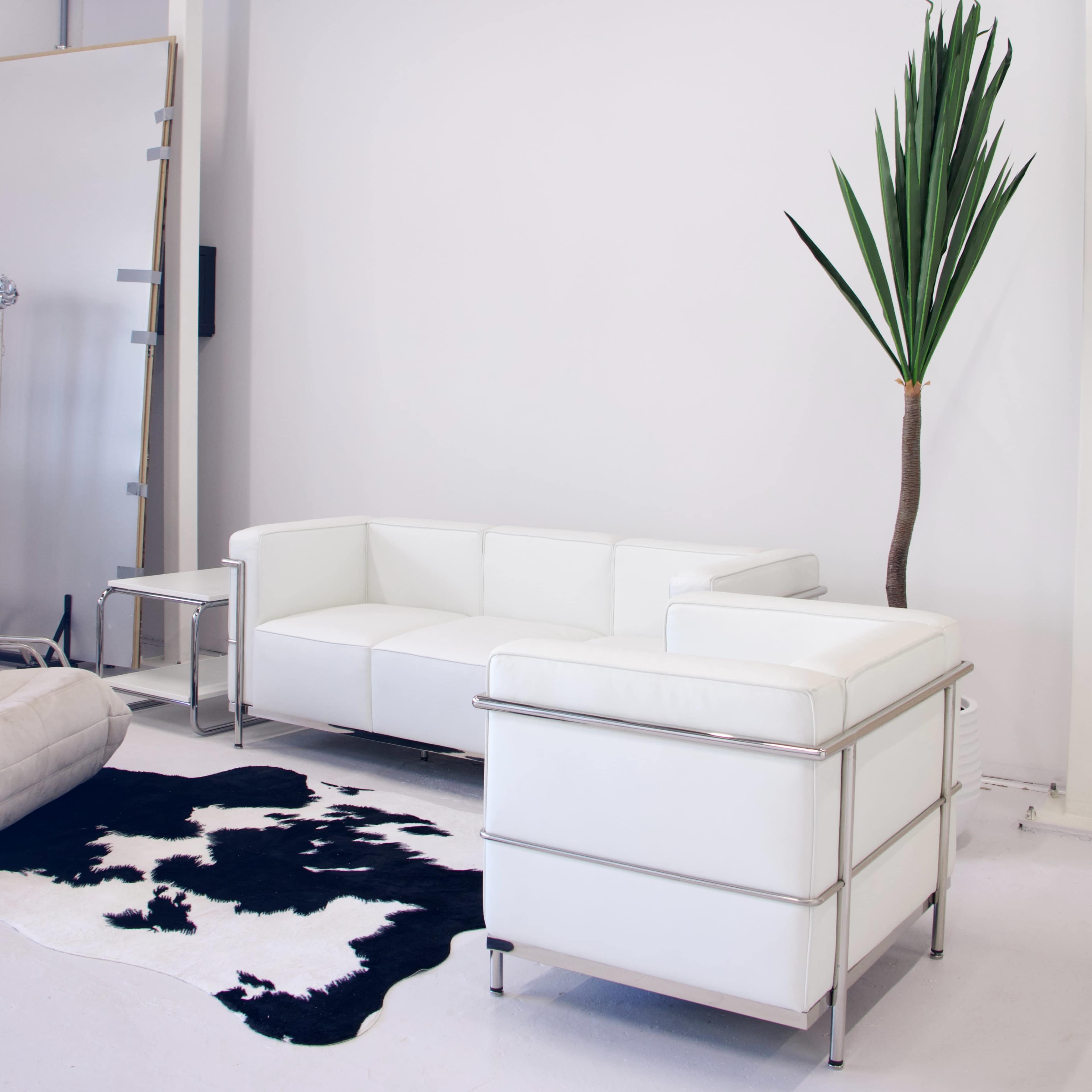 The image shows a modern living room setup featuring a white sectional couch, a minimalist side table, and a tall potted plant beside a cowhide rug.