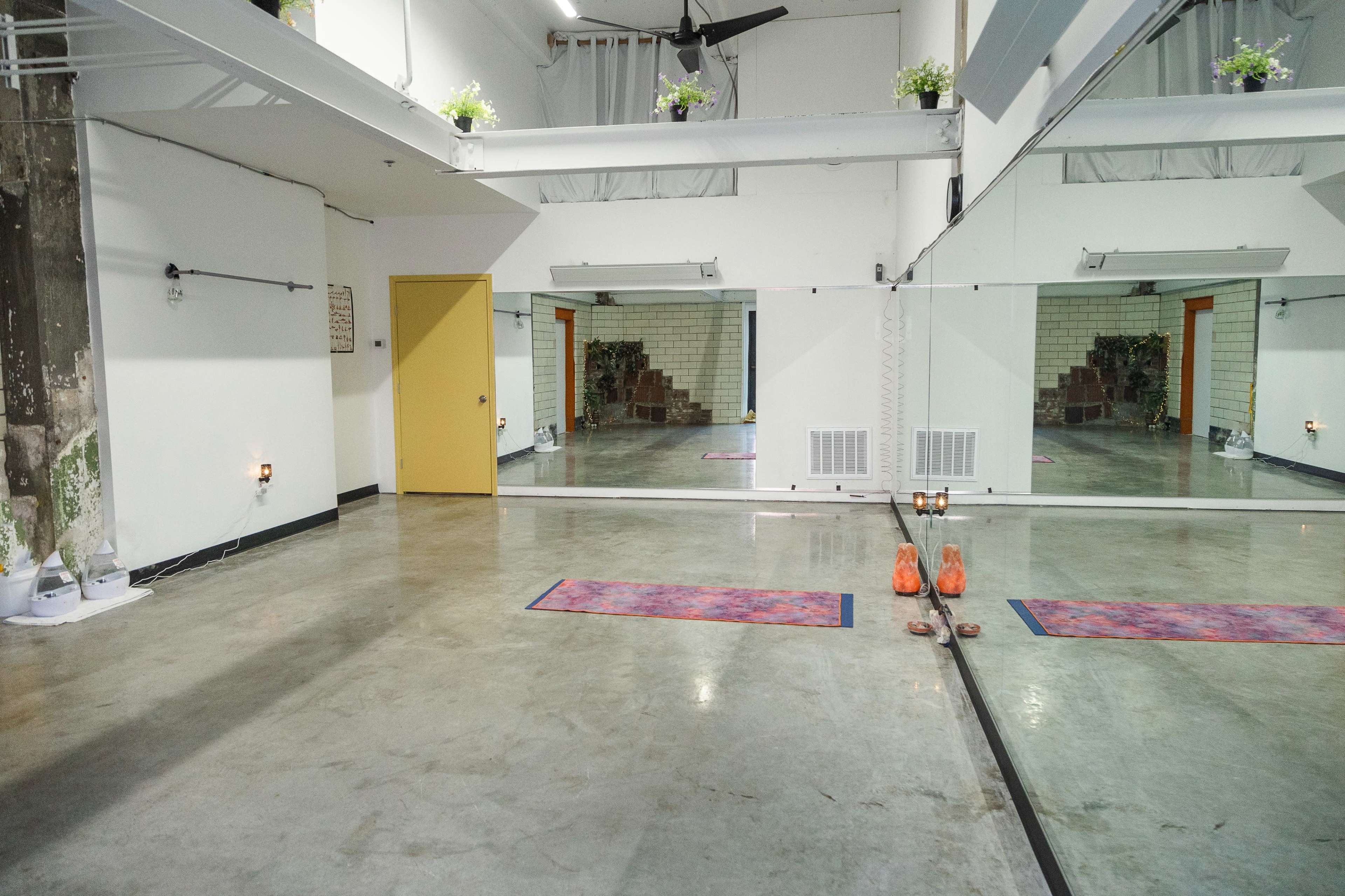 A spacious studio features mirrored walls, yoga mats on the floor, and plants positioned on shelves.