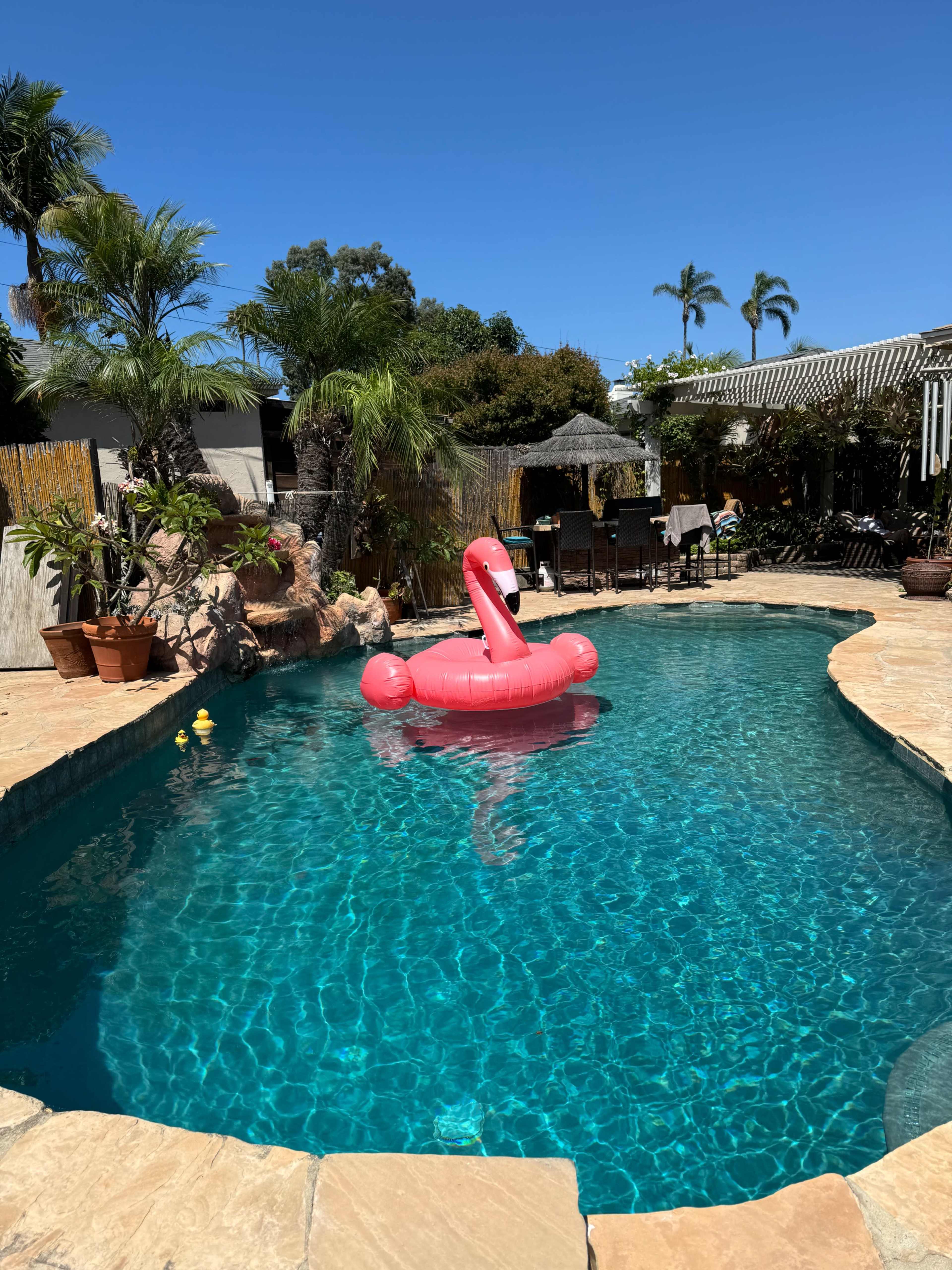 A pink flamingo float is centered in a clear blue pool surrounded by tropical plants and patio furniture.