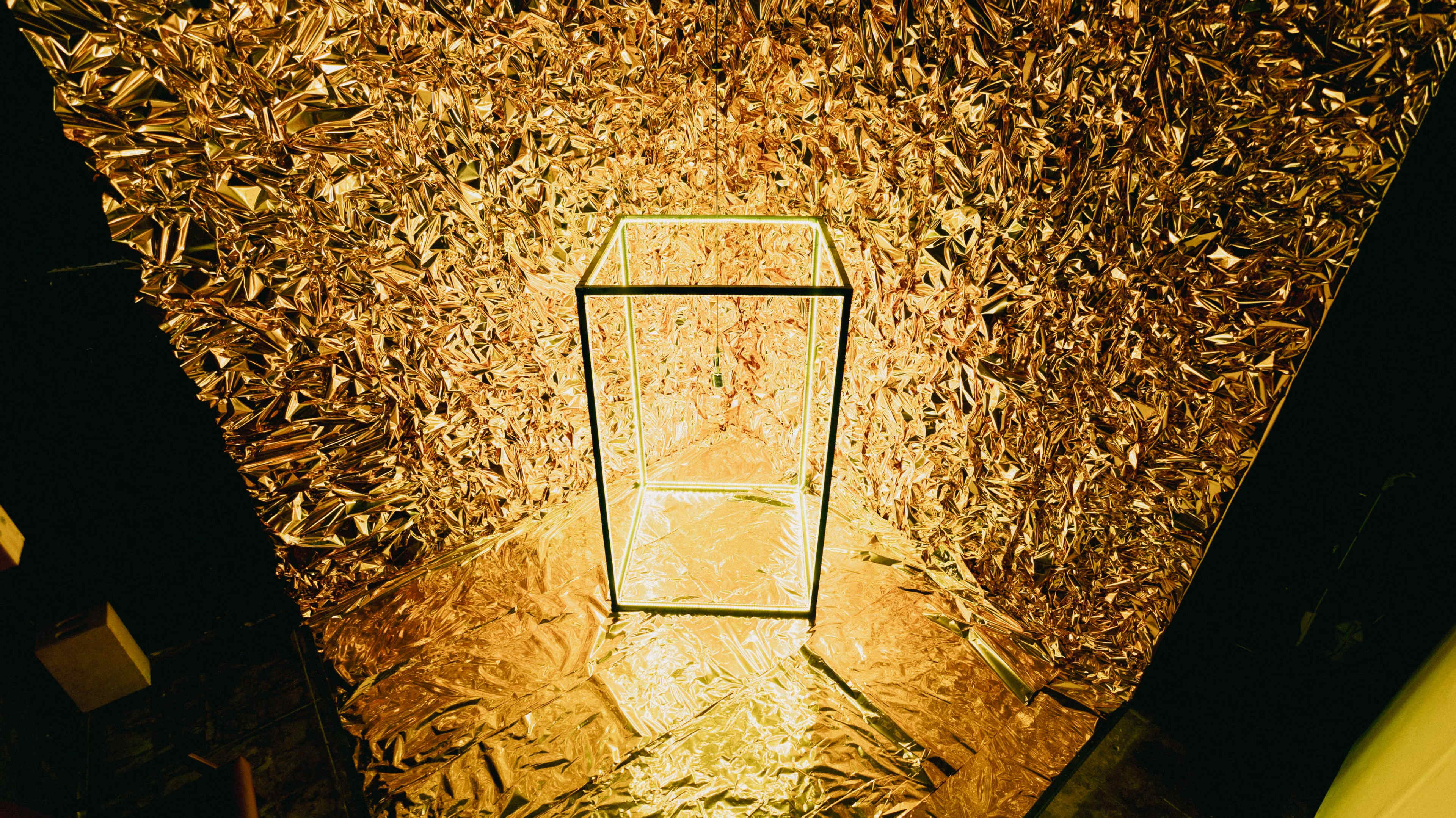 A glass display case stands illuminated against a backdrop of crinkled gold foil.