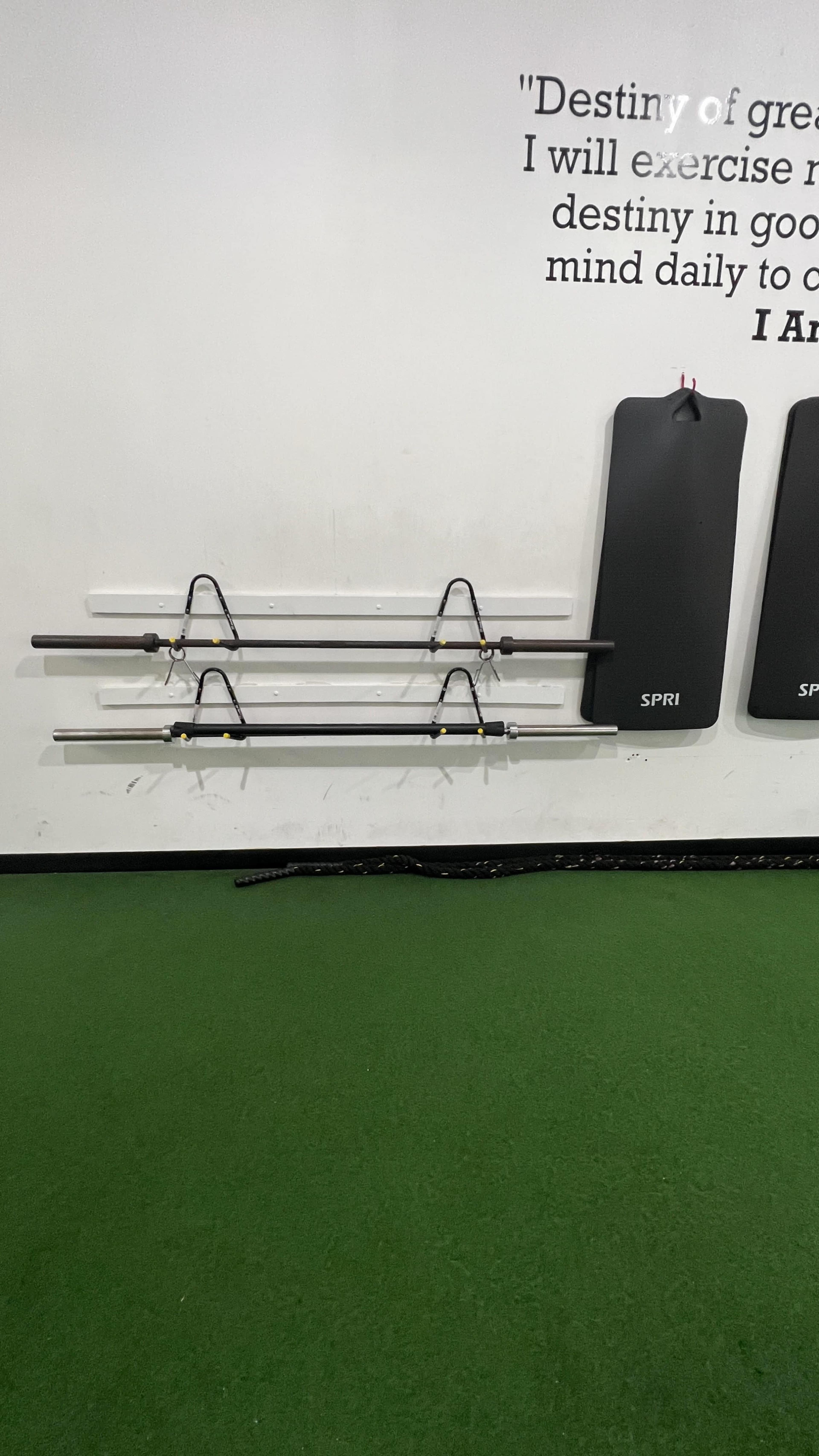 A gym wall with mounted exercise bars and two padded fitness panels.