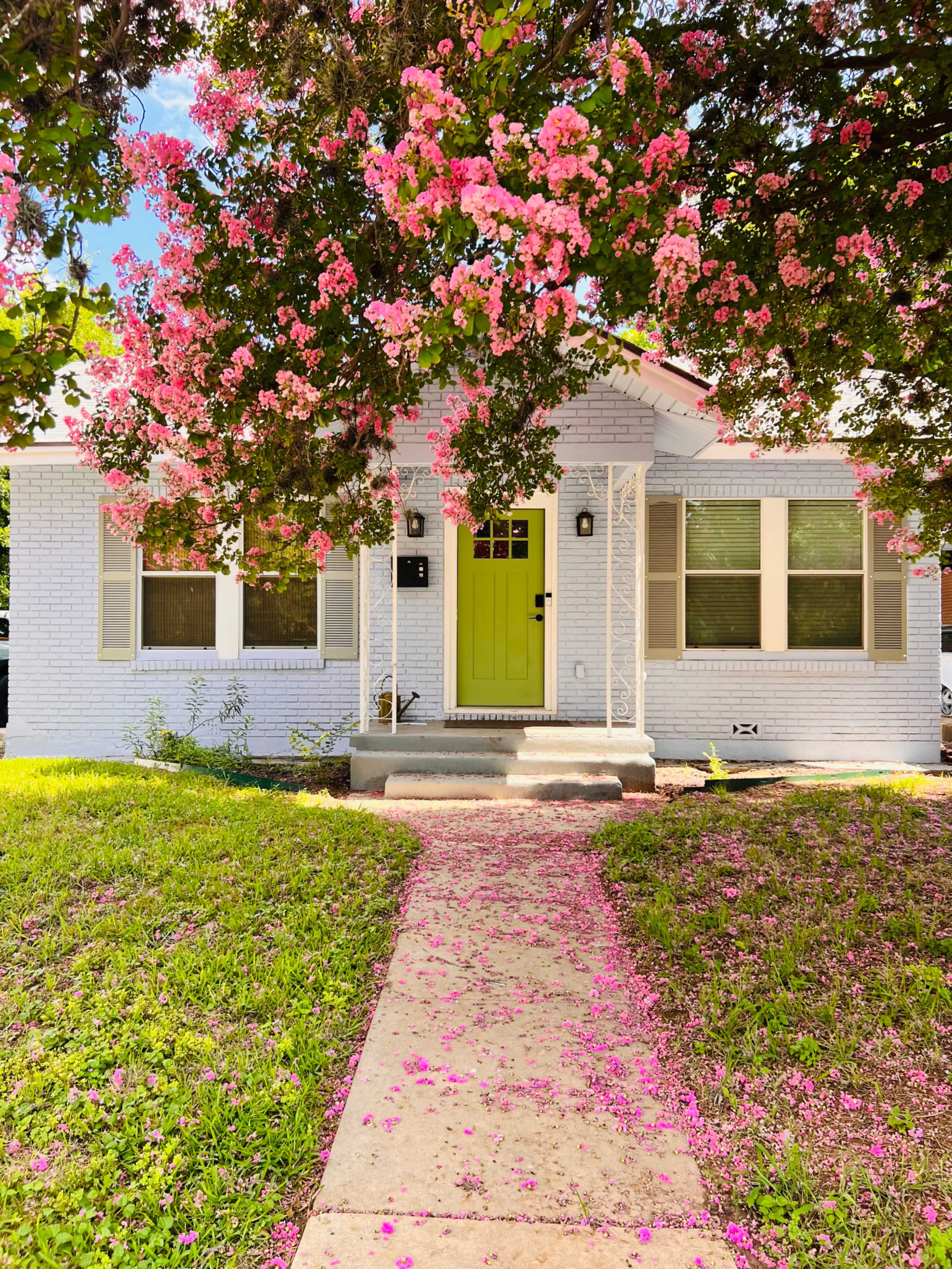 A white house with a bright green door is framed by a tree blooming with pink flowers, and a path lined with fallen petals leads to the entrance.