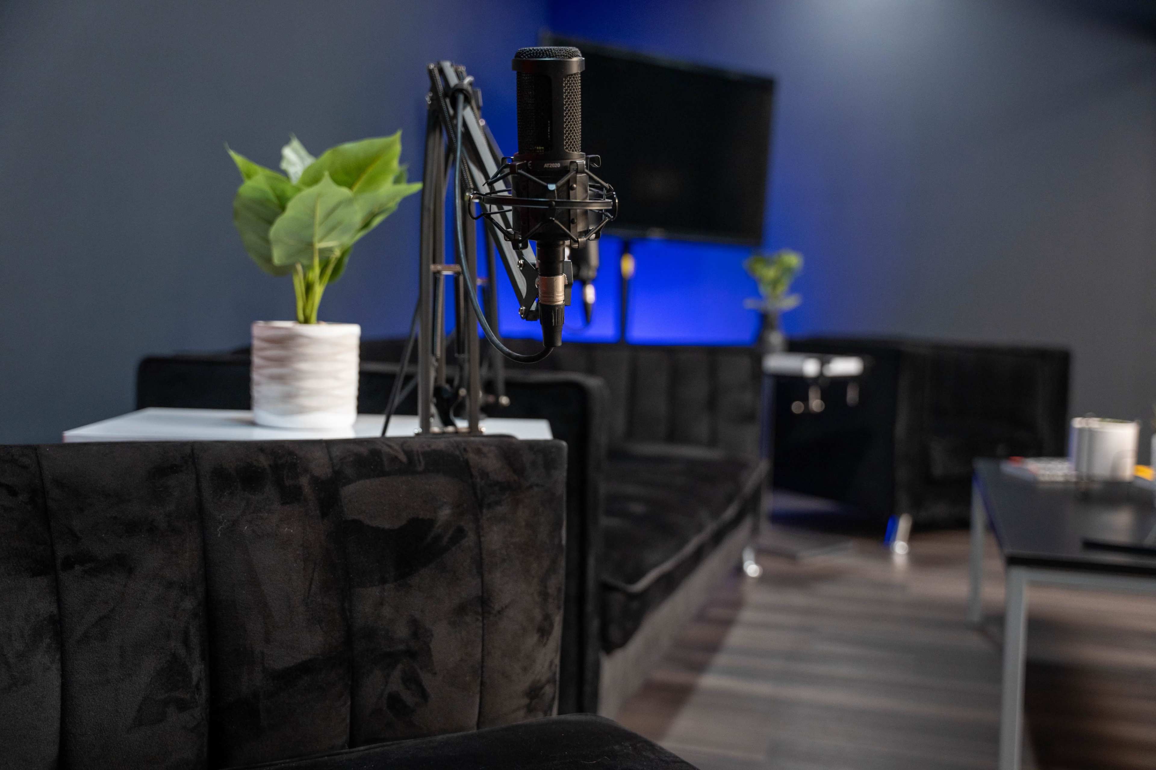The image shows a modern recording studio setup featuring a microphone on a stand, a potted plant, and dark-colored furniture.