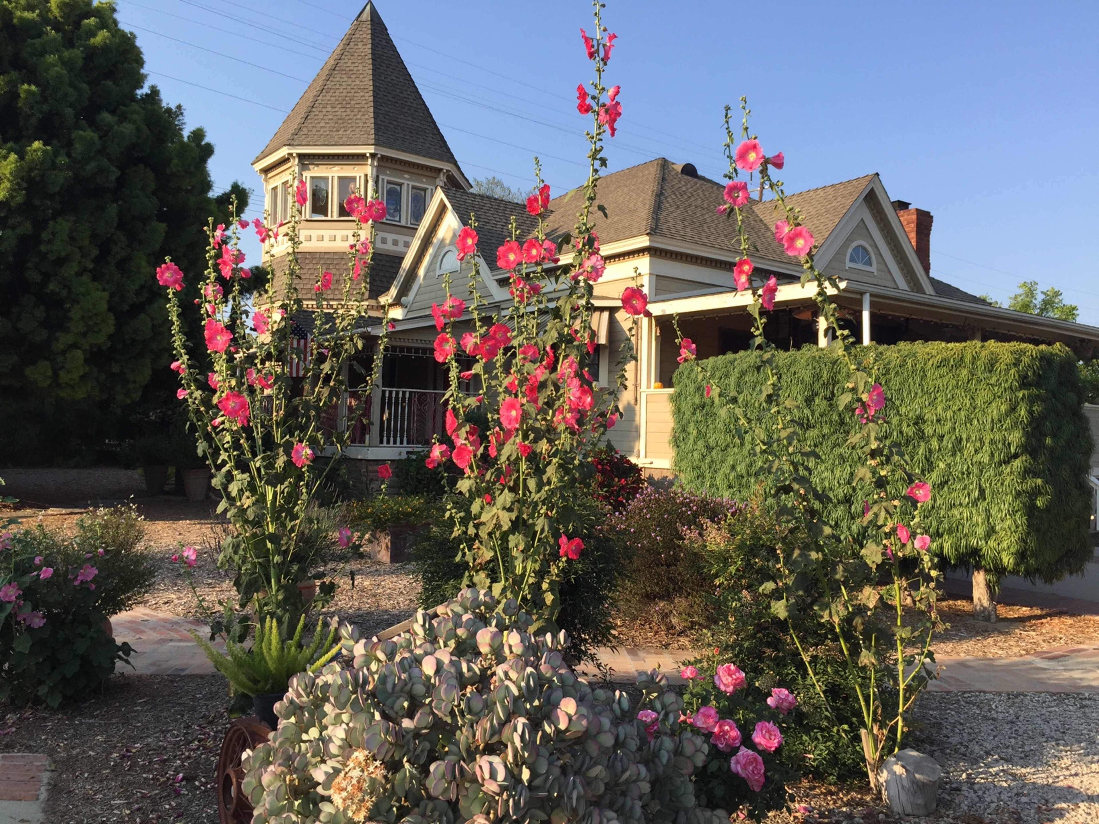 Historical School House Villa, Somis, CA | Event | Peerspace