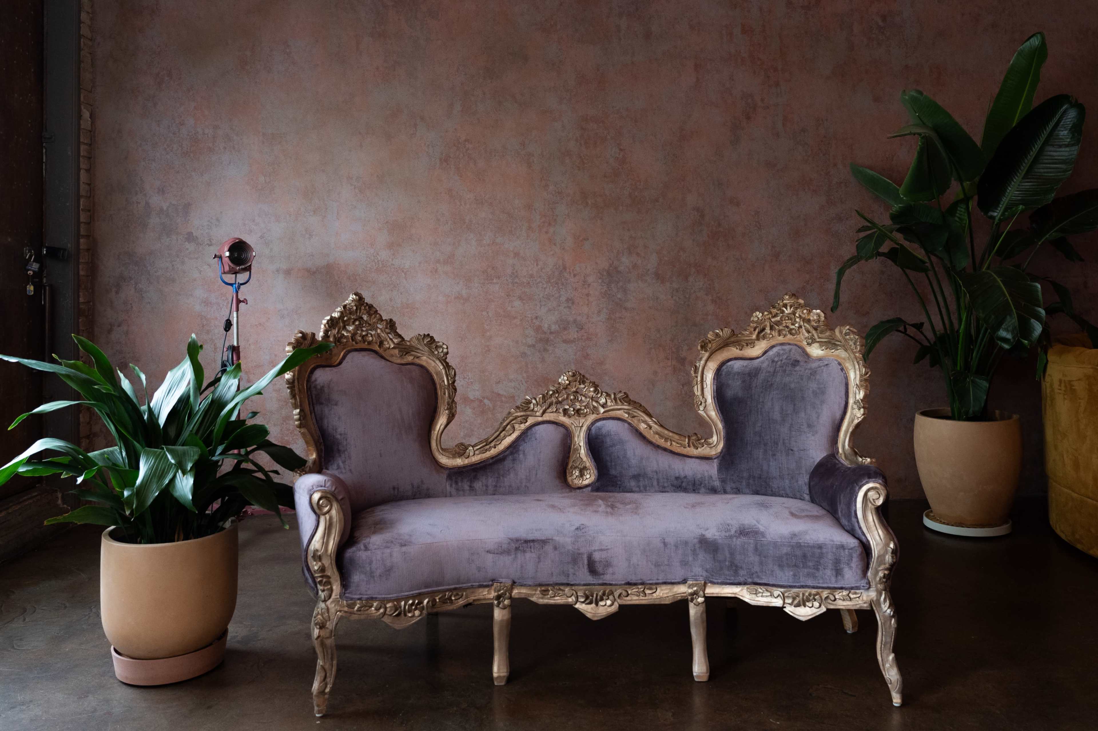 A vintage purple sofa with ornate gold accents is positioned against a textured, muted wall, accompanied by potted plants on either side.