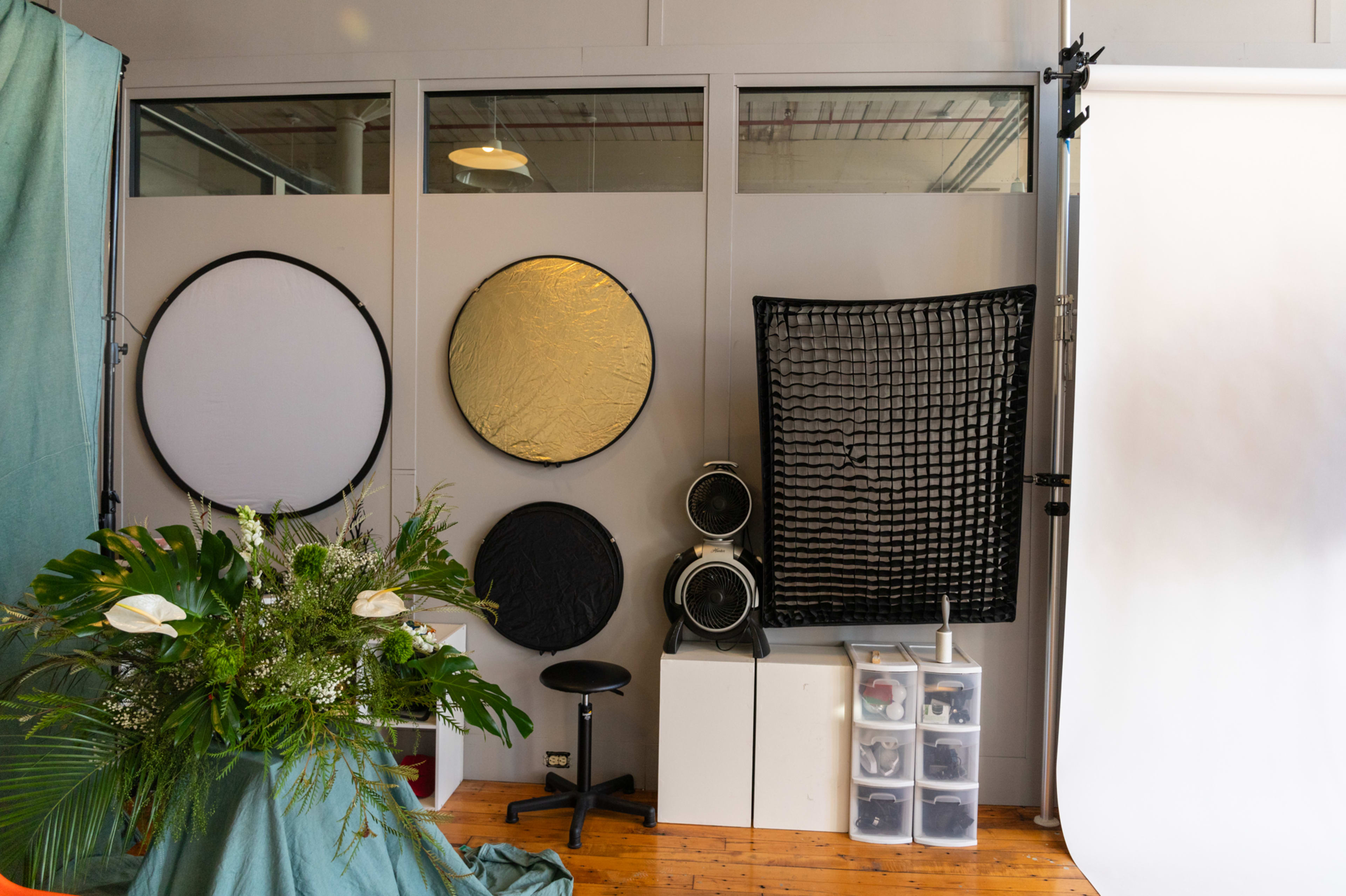 A photography studio setup featuring light reflectors on the wall, a plant arrangement, a stool, and a shelf with various items.