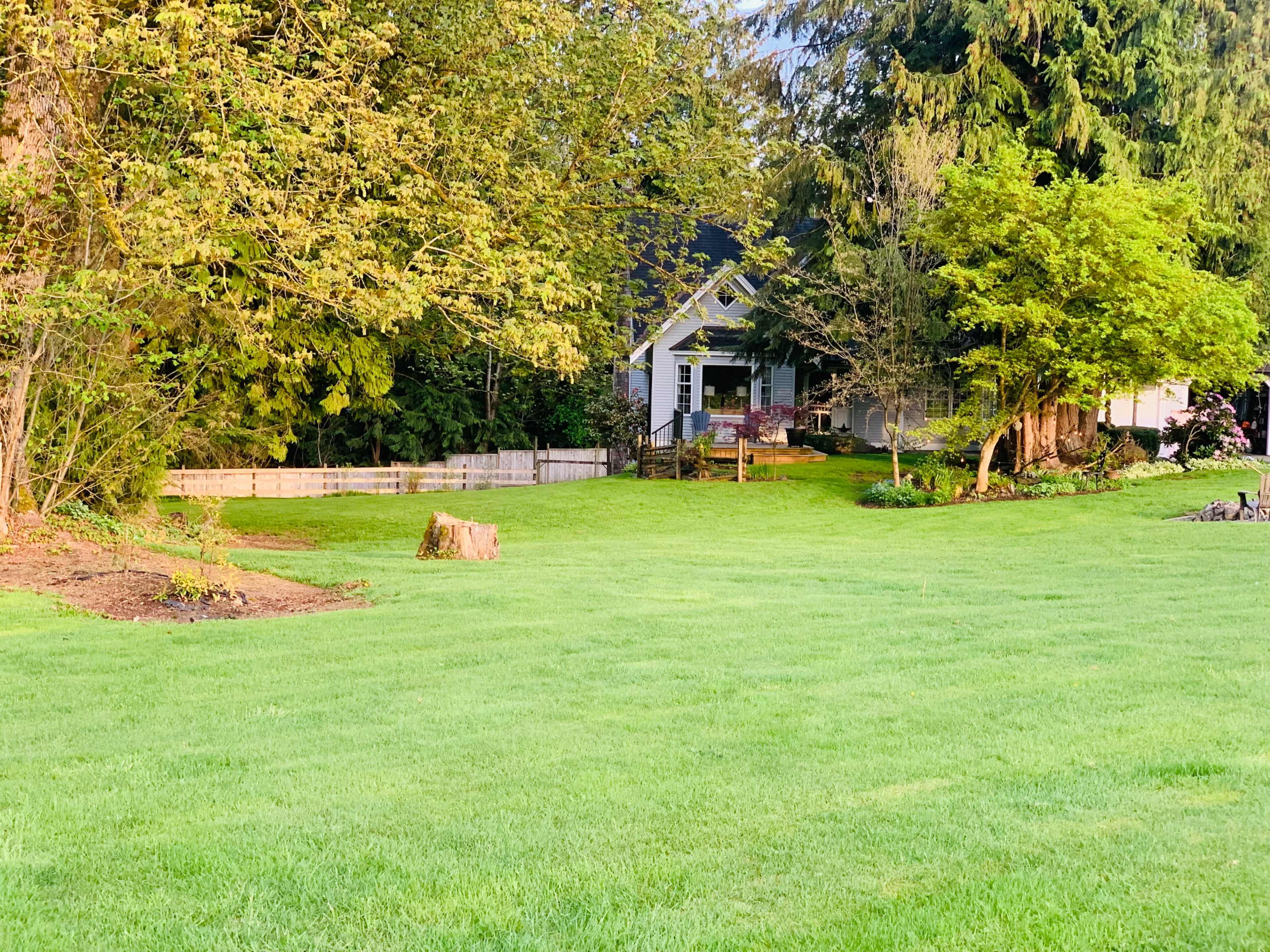 A well-maintained lawn is surrounded by trees and shrubs, with a house visible in the background.