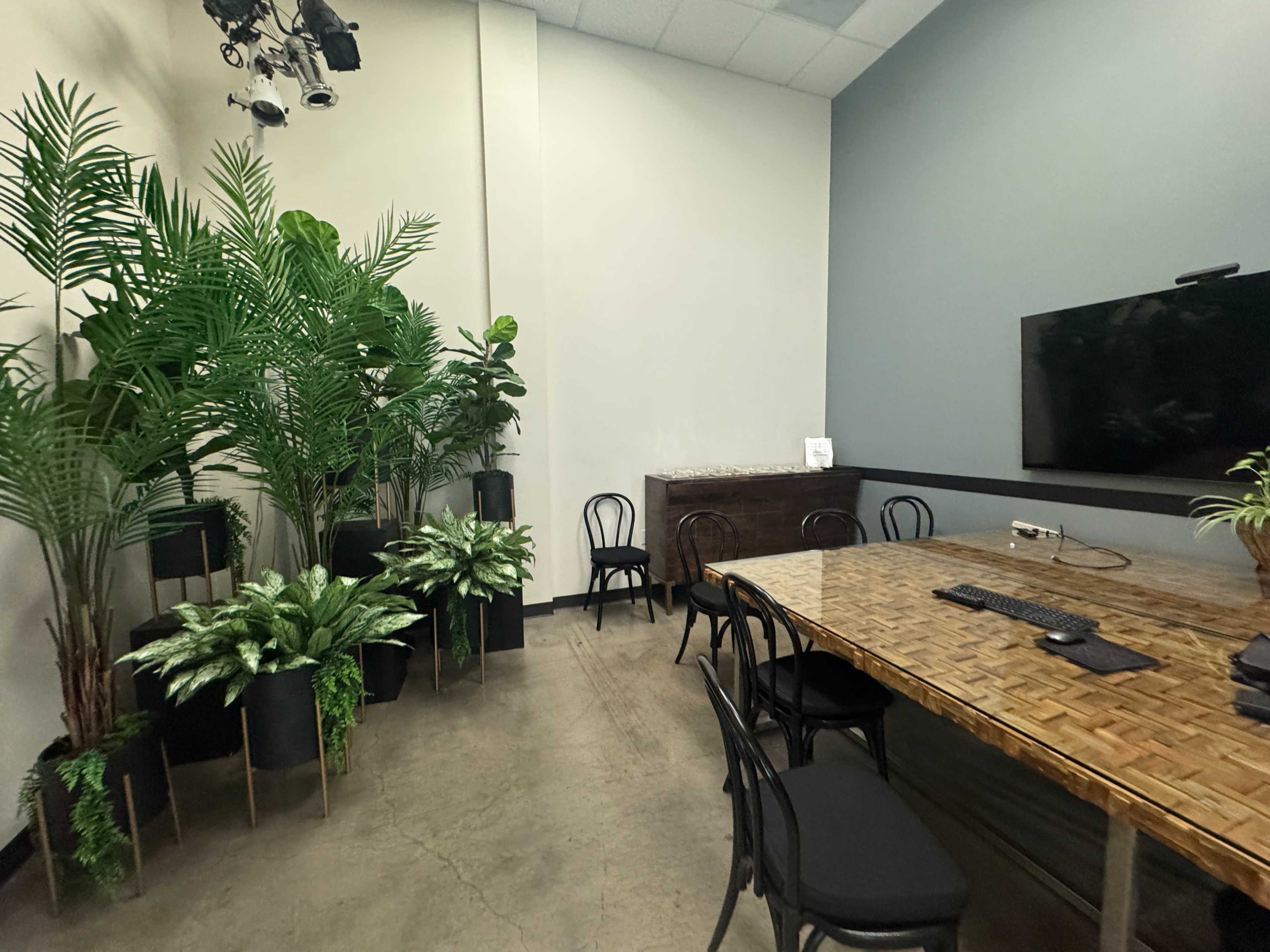The image shows a meeting room with a large wooden table, black chairs, and several potted plants along the walls.