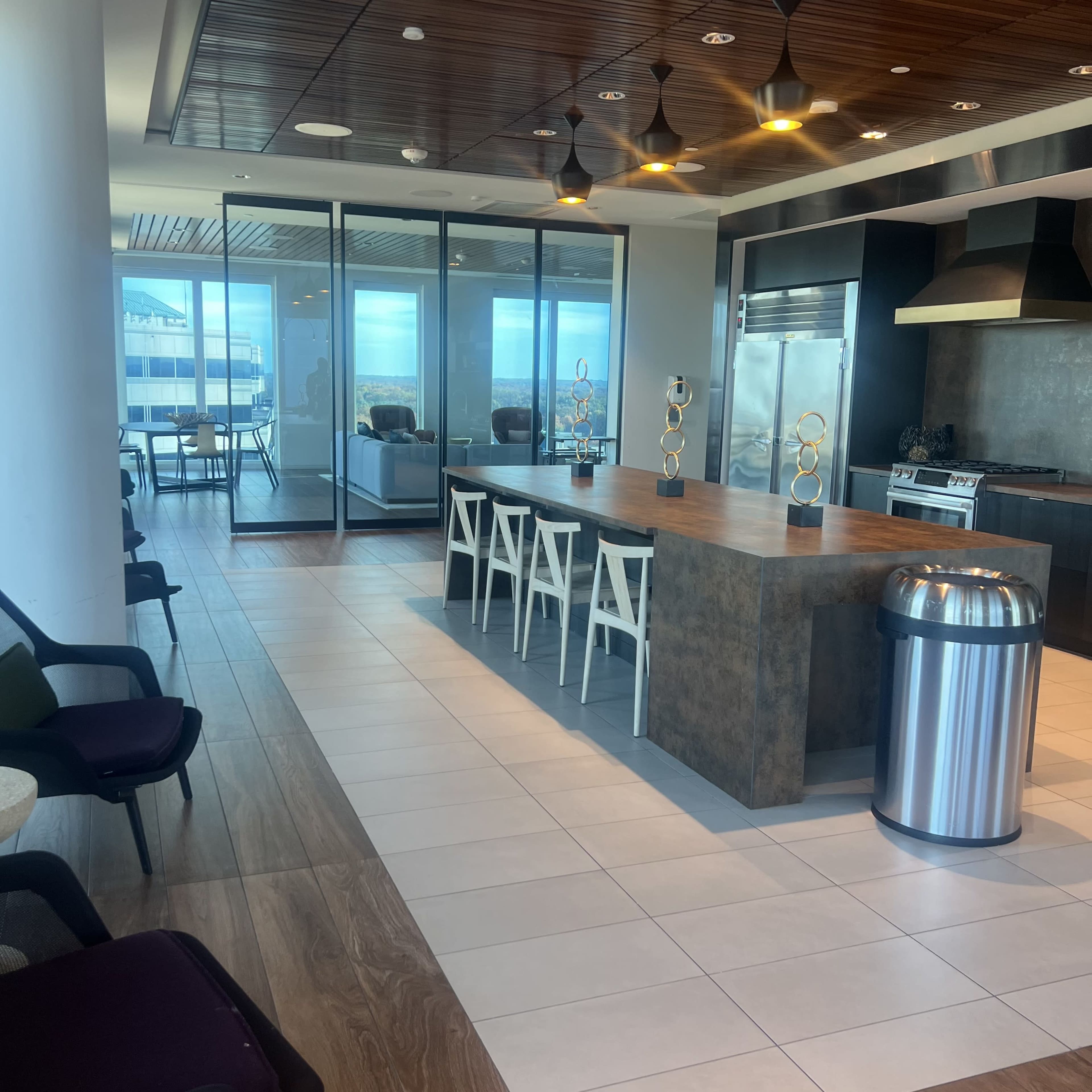 Modern Clubroom Lounge w/ Skyline Views Image in Hunter Mill District, Reston, VA