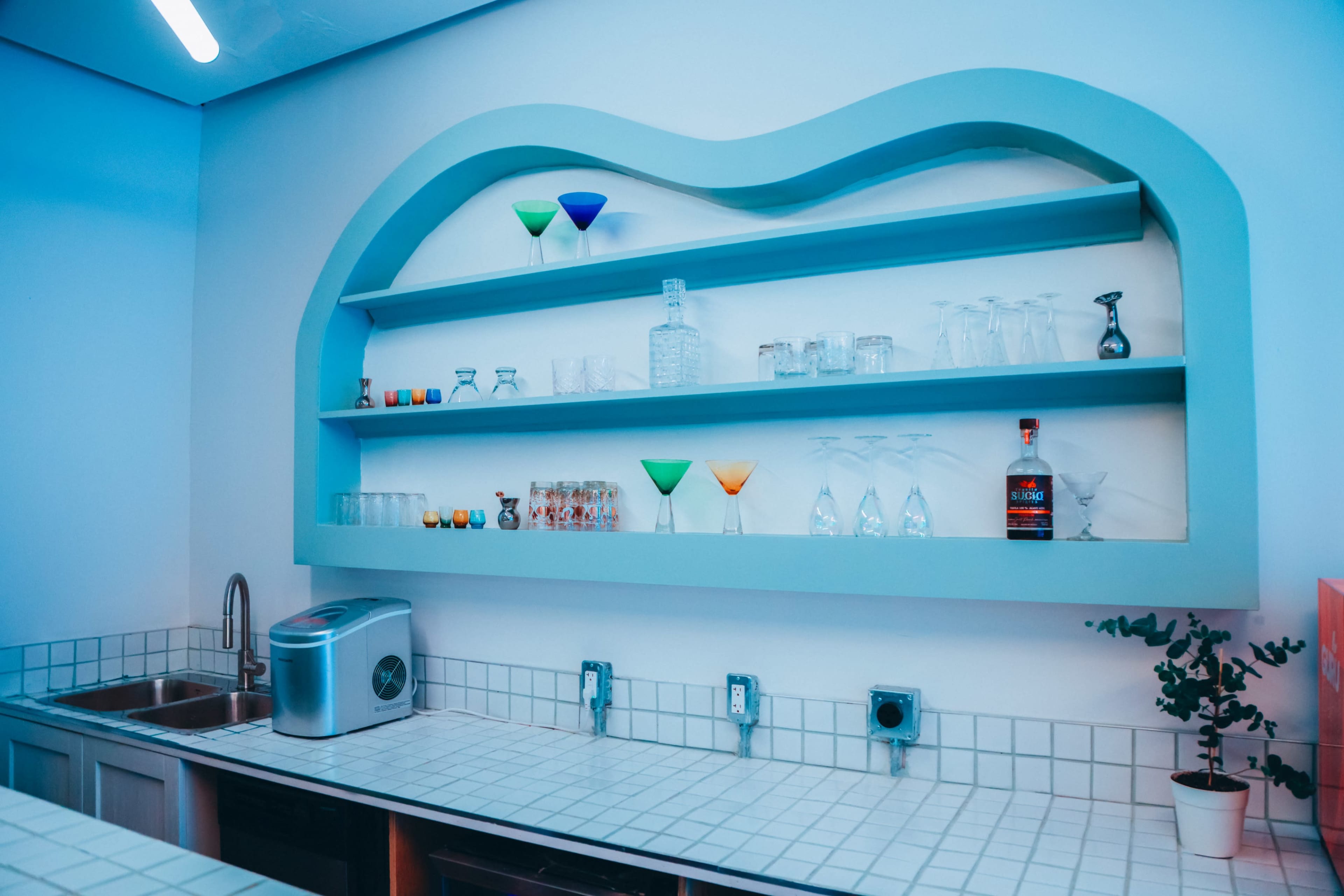 A modern kitchen with a blue wavy shelf displaying various glassware and a small plant on the counter.