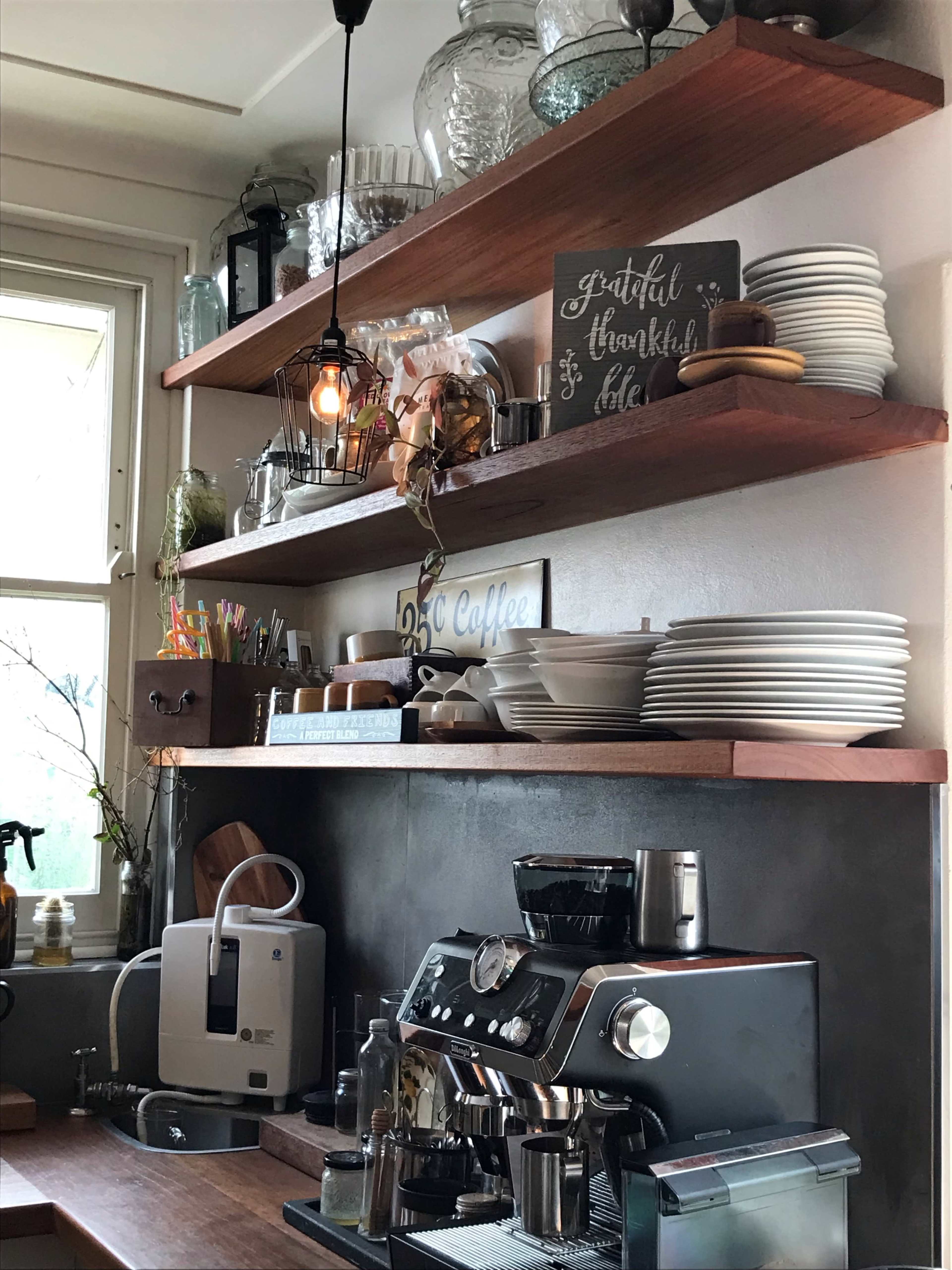 Large eclectic space leading out to a stunning courtyard Image in Dee Why, Dee Why, NSW