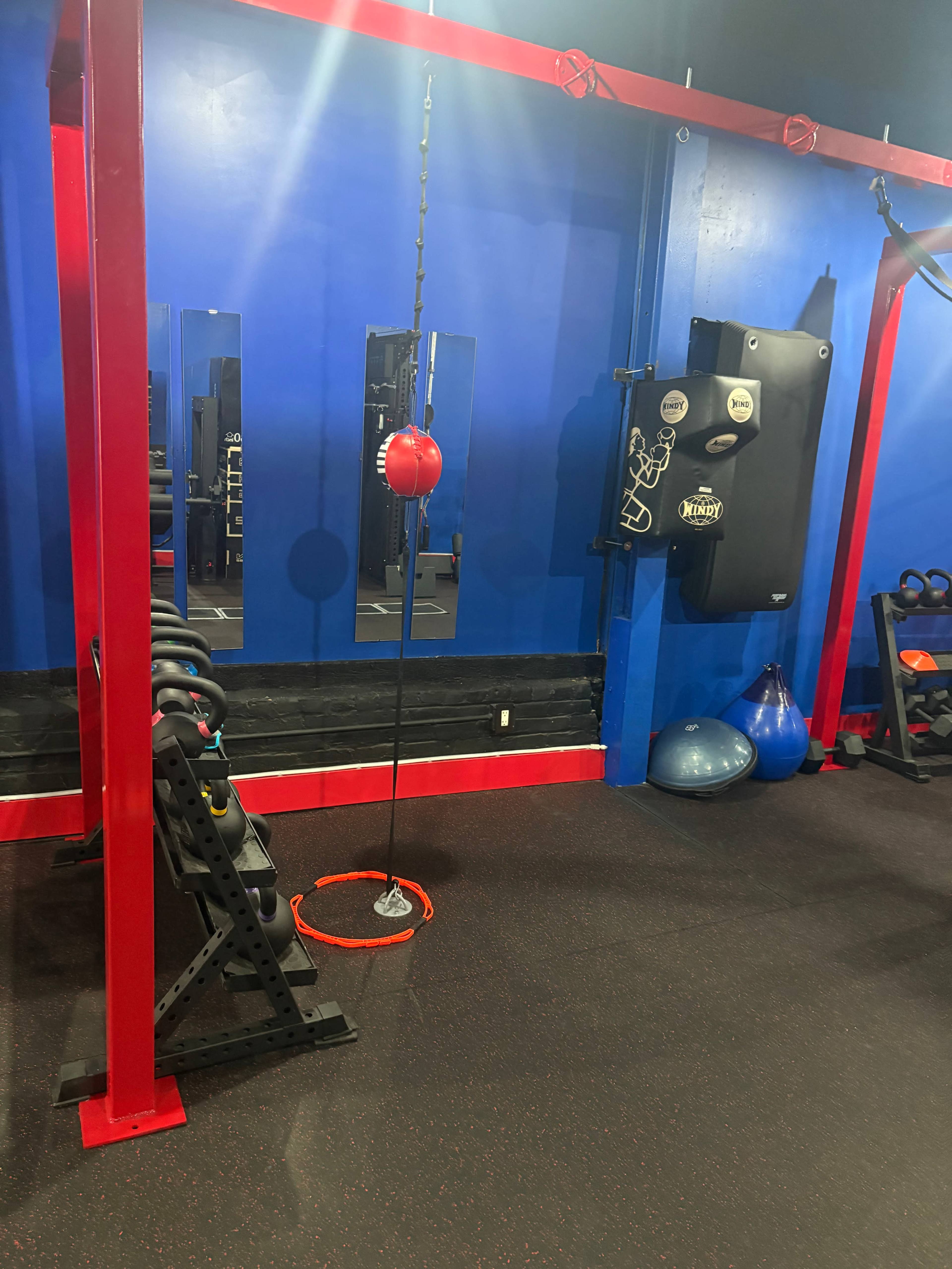 The image shows a gym with red and blue walls, featuring various fitness equipment, including a speed bag, a heavy bag, and weight racks.