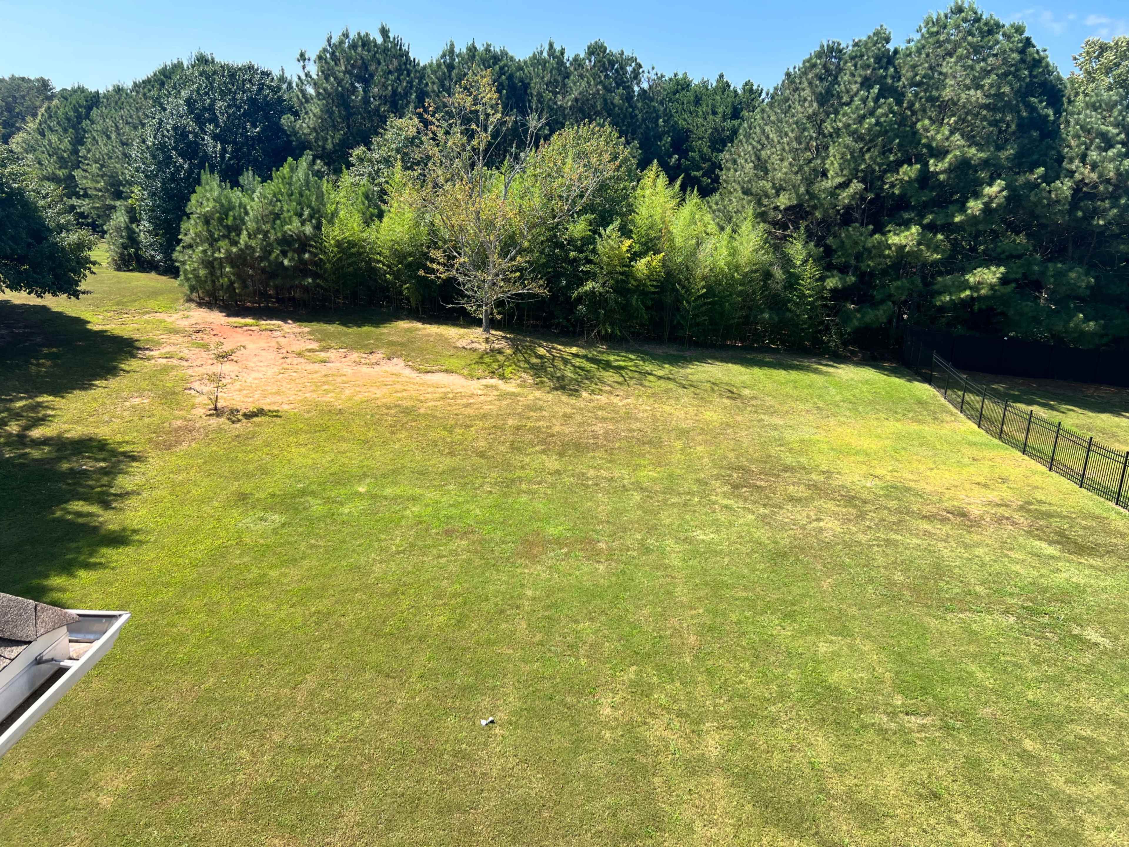 The image shows a grassy area bordered by a dense line of trees in the background.