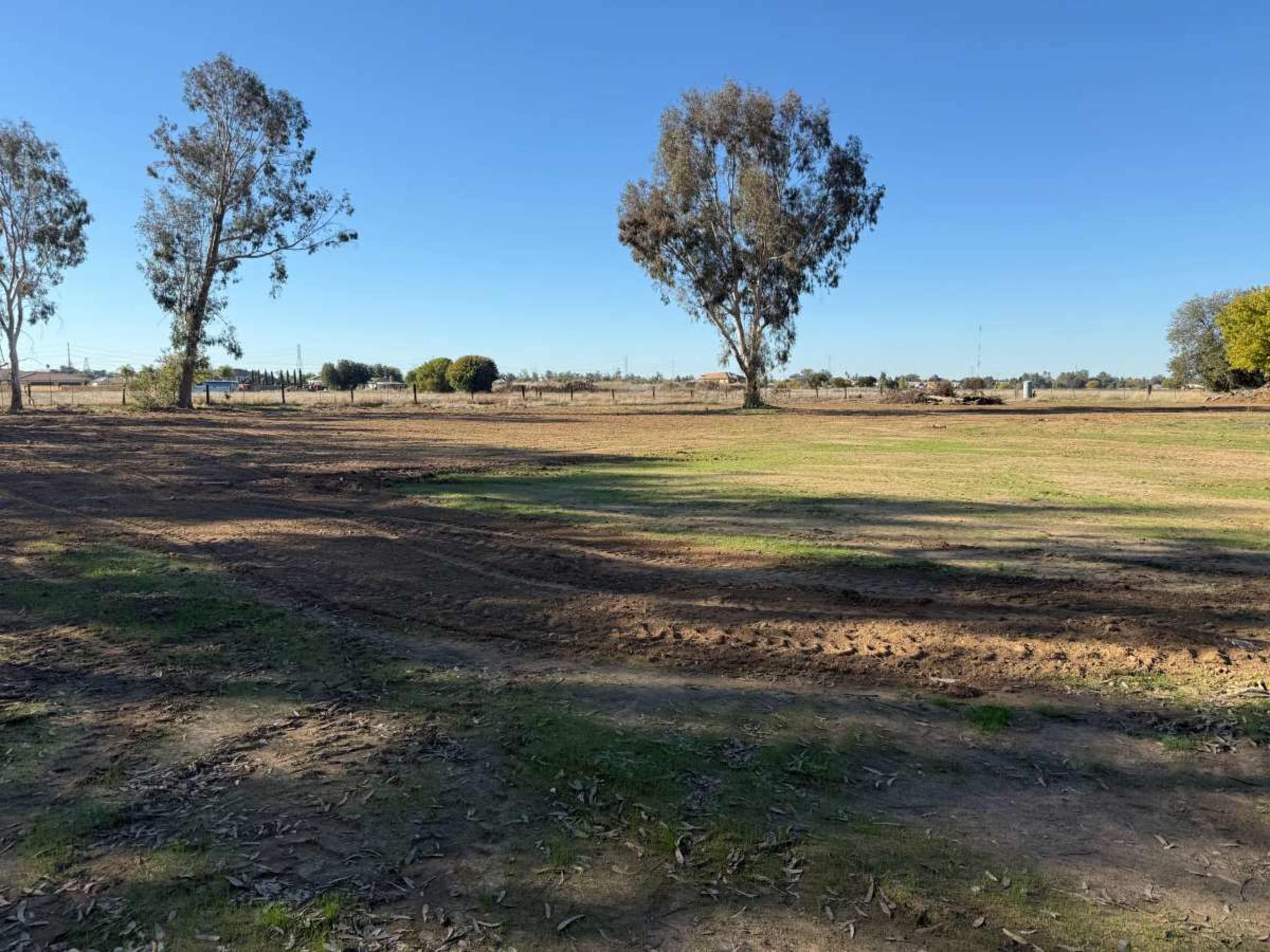 The image shows an open field with sparse trees and a clear blue sky, featuring visible tire tracks on the ground.