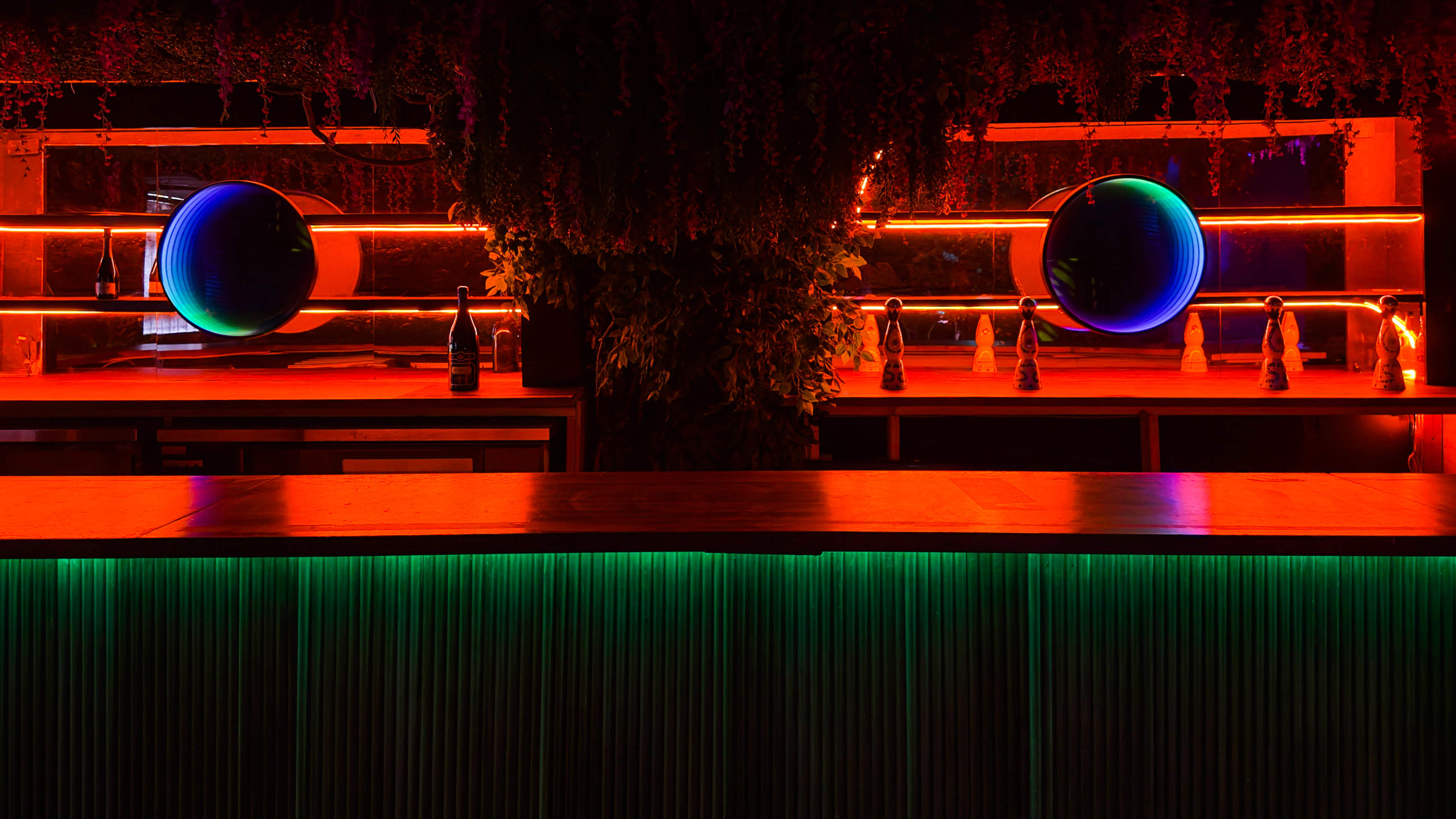 The image shows a bar area with circular lights, neon accents, and greenery overhead, creating a modern and vibrant atmosphere.