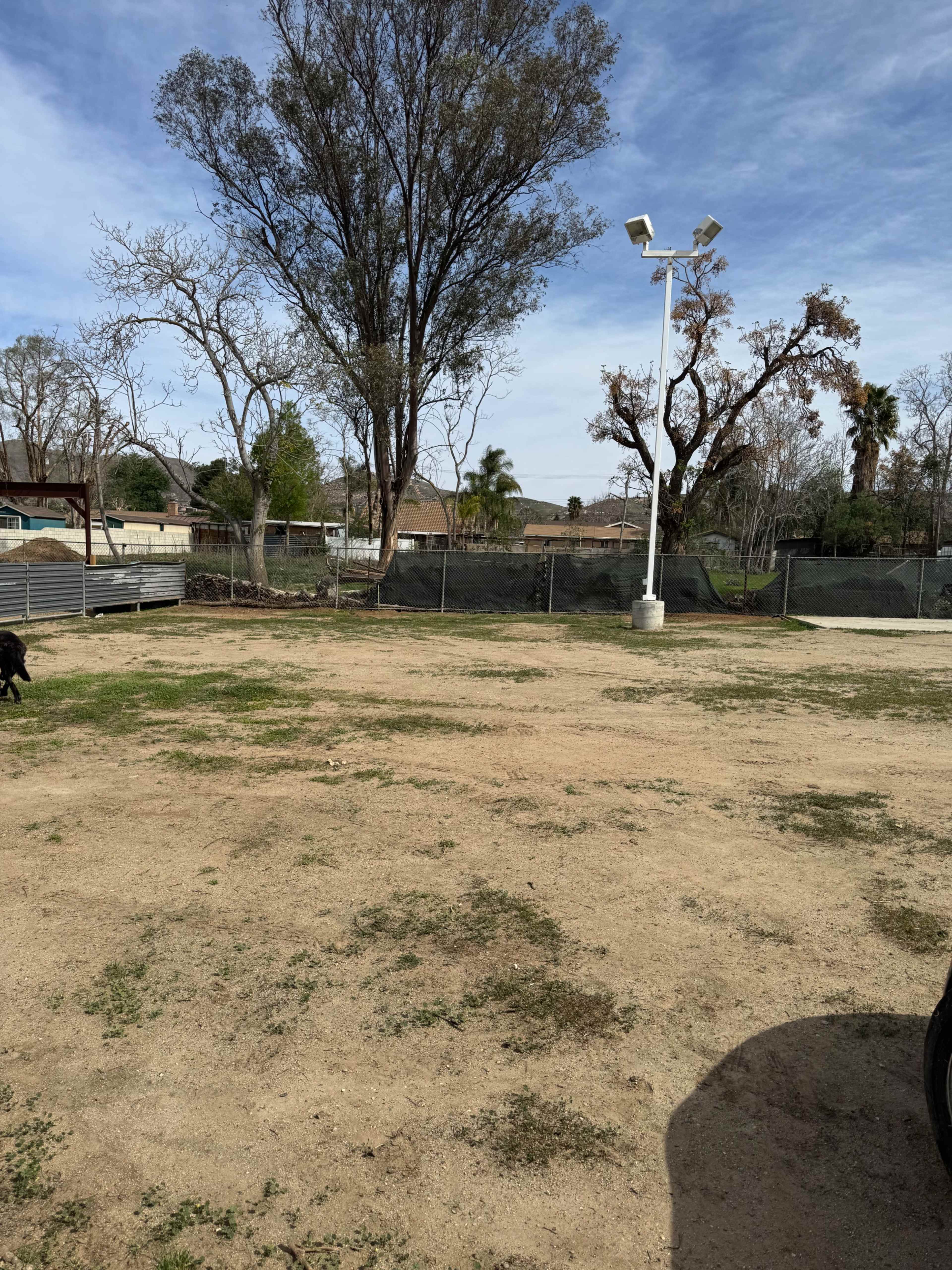 The image shows a barren, dirt field surrounded by sparse trees and a fence.