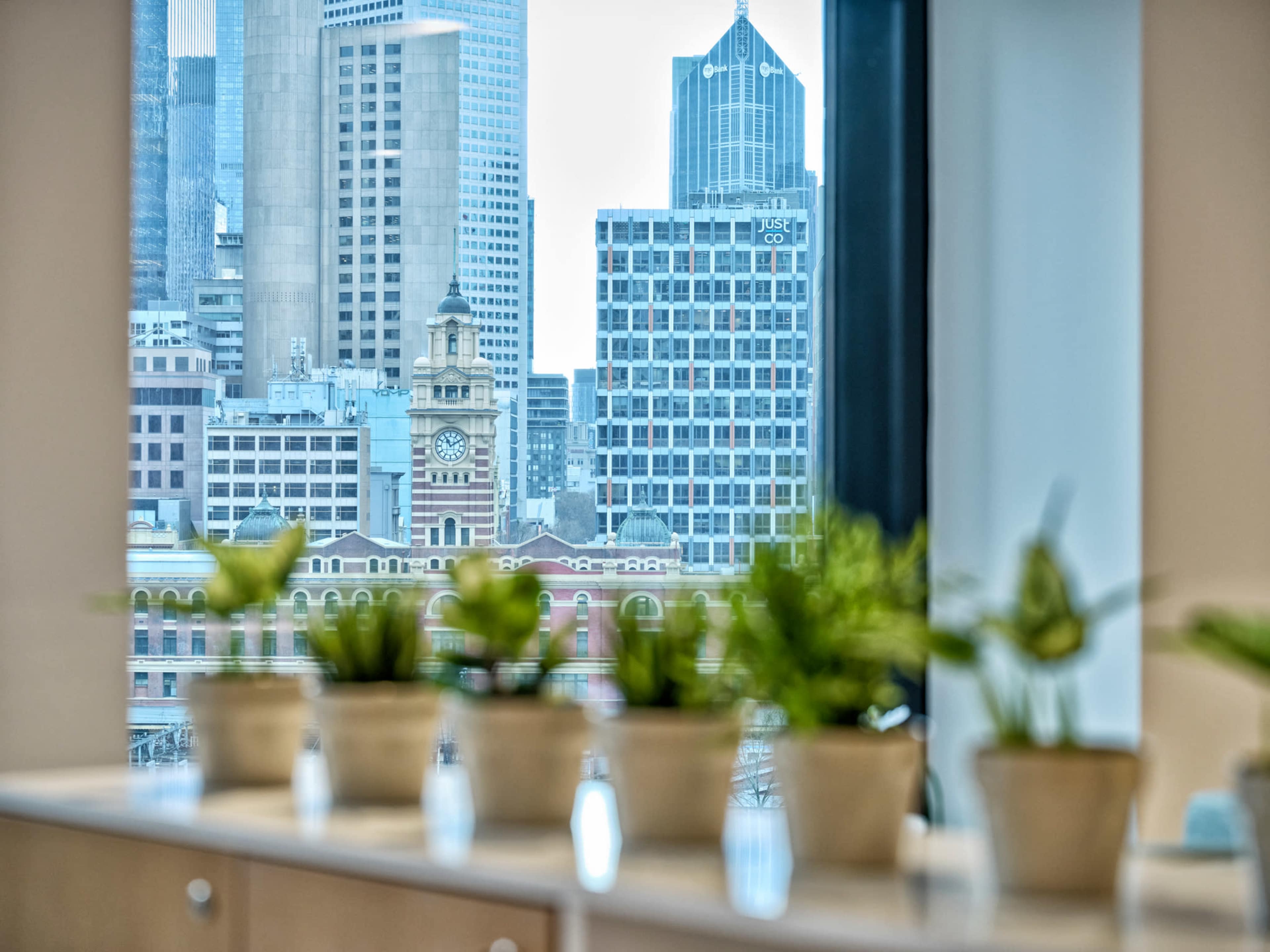 The image shows a view of a city skyline with various buildings and a clock tower, framed by potted plants on a windowsill.