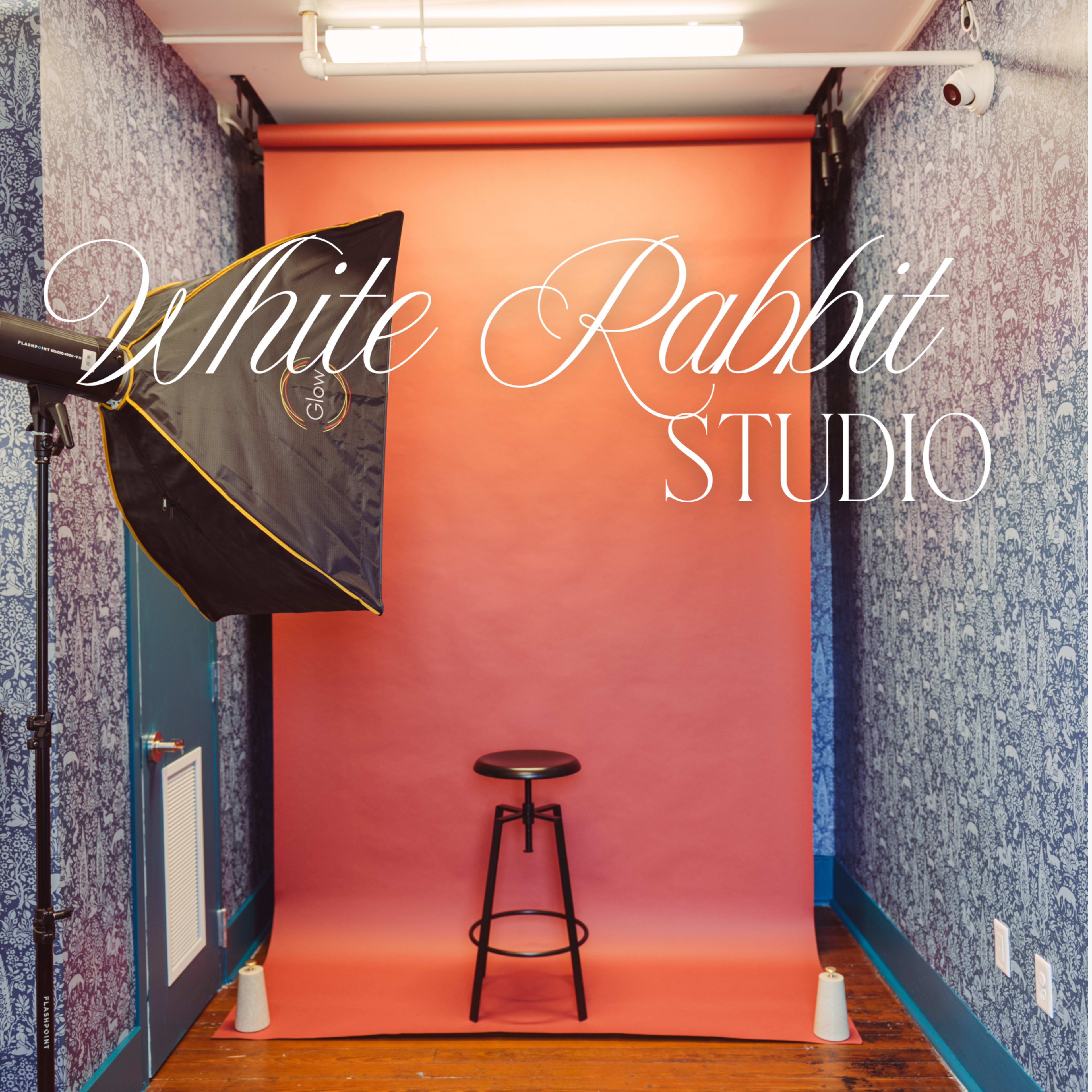 The White Rabbit Studio: Seamless paper backdrops Image in South Historic District, Savannah, GA