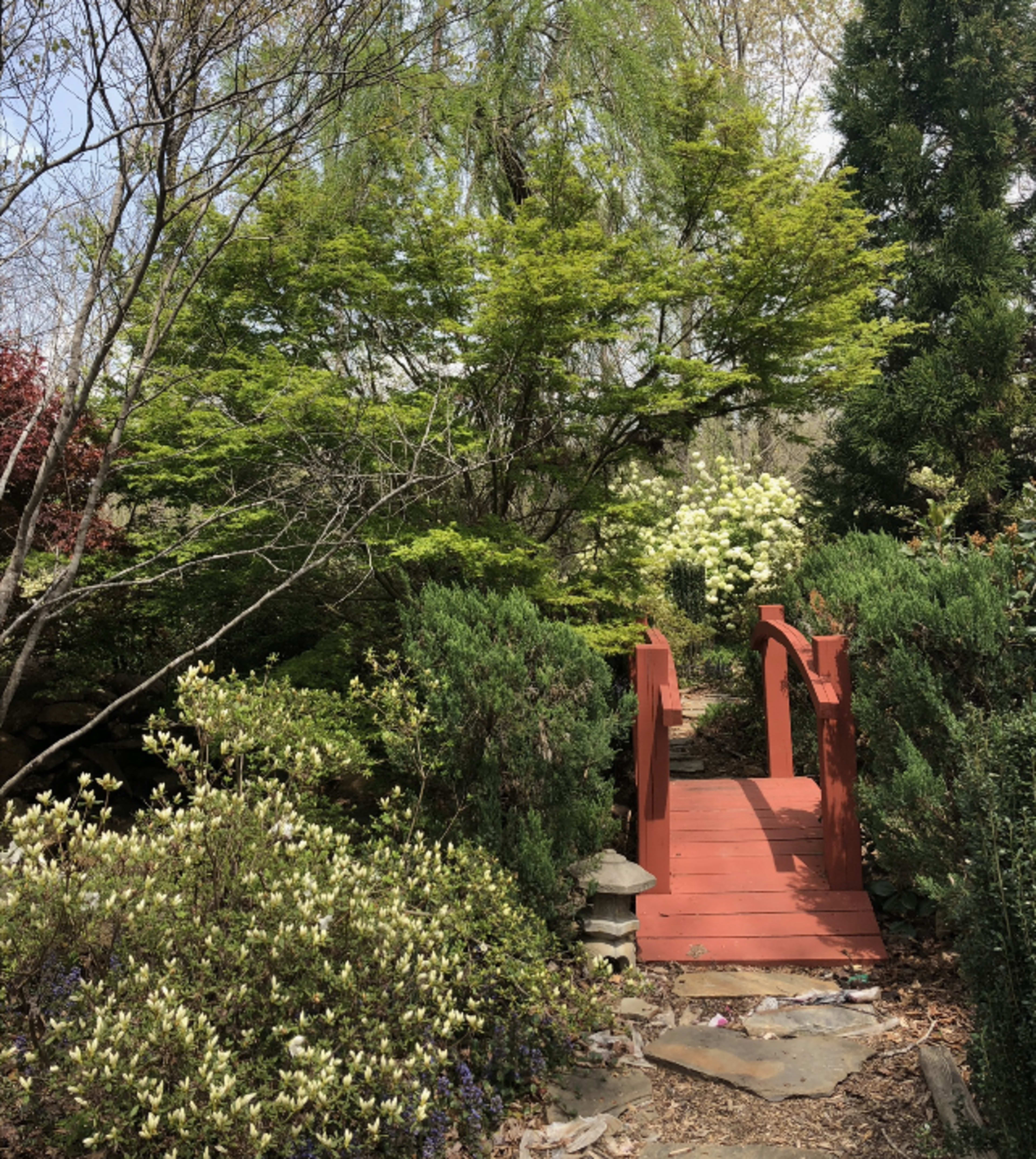 A red wooden bridge spans a small path, surrounded by green shrubs and flowering plants in a tranquil garden setting.