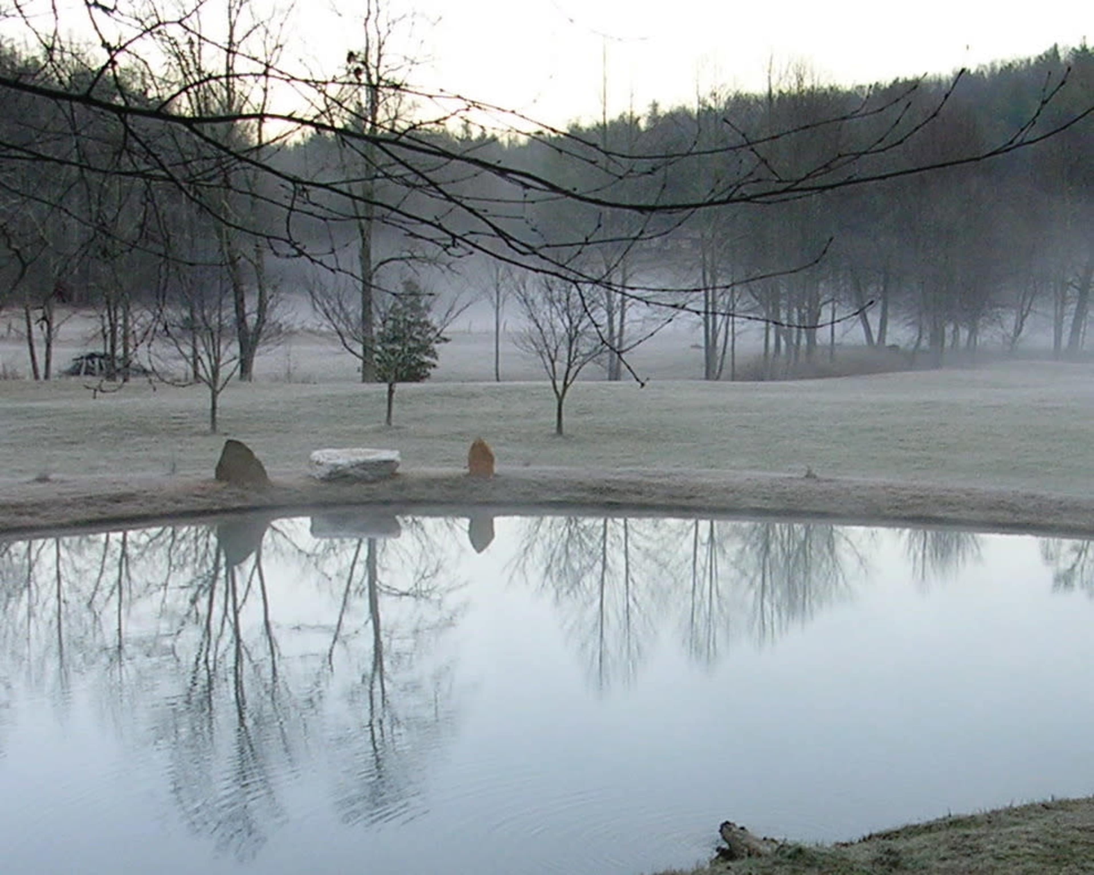 Creekside Pasture with Pond Surrounded by Mountains Image in , Cherry Log, GA