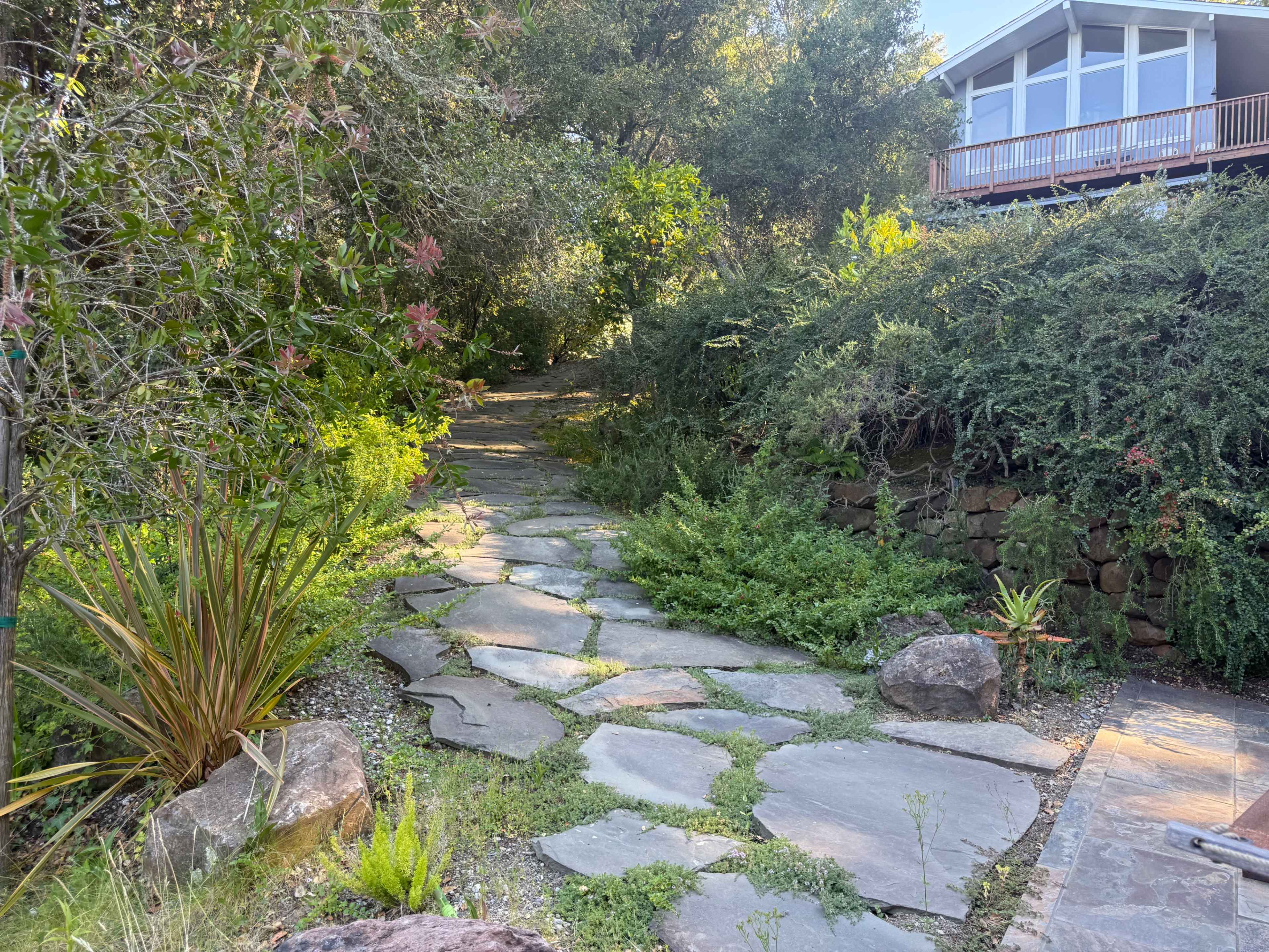 A stone pathway winds through lush greenery leading to a house with a large deck.