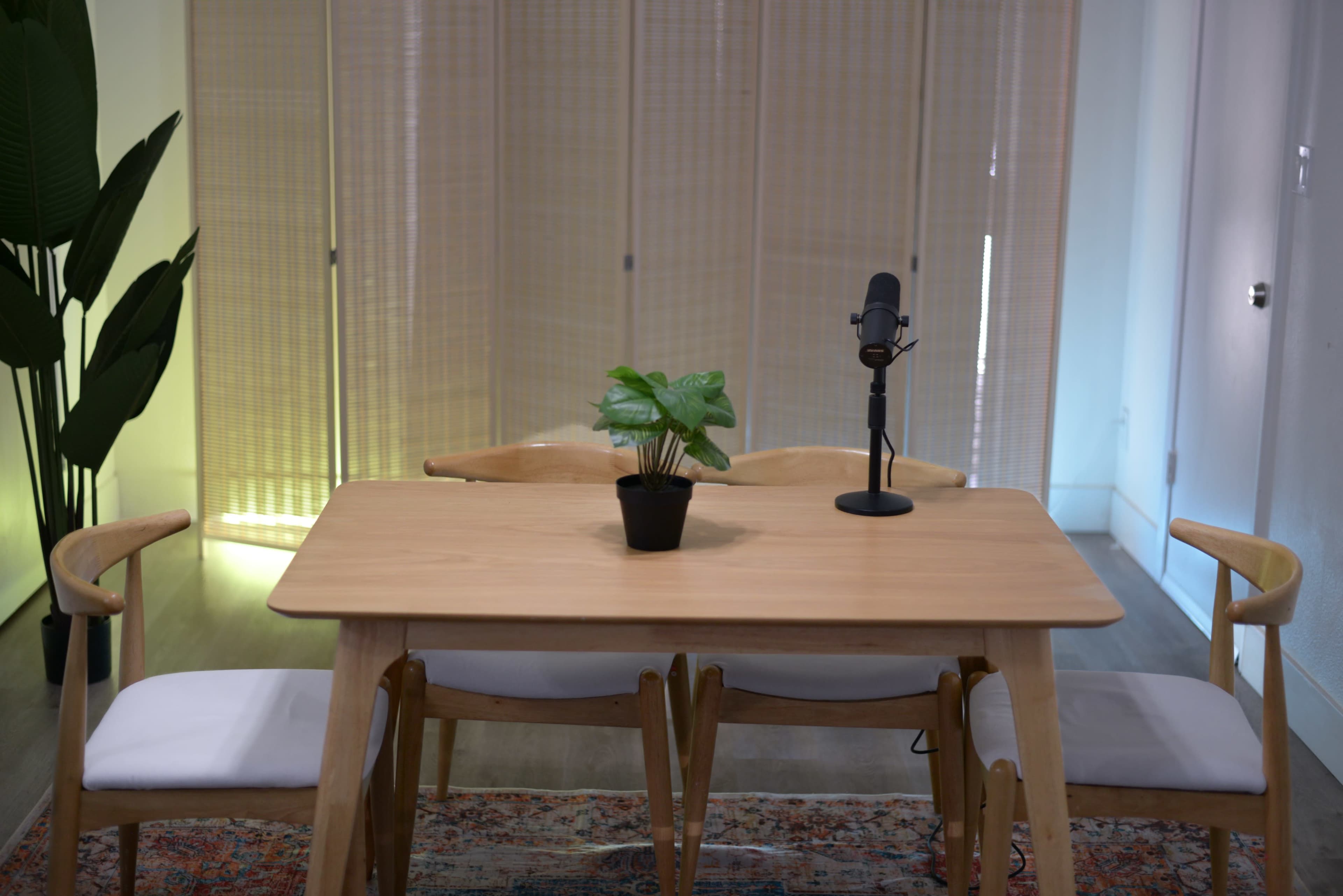 A wooden table with two chairs and a potted plant sits in a room with a microphone on the table and sheer curtains in the background.