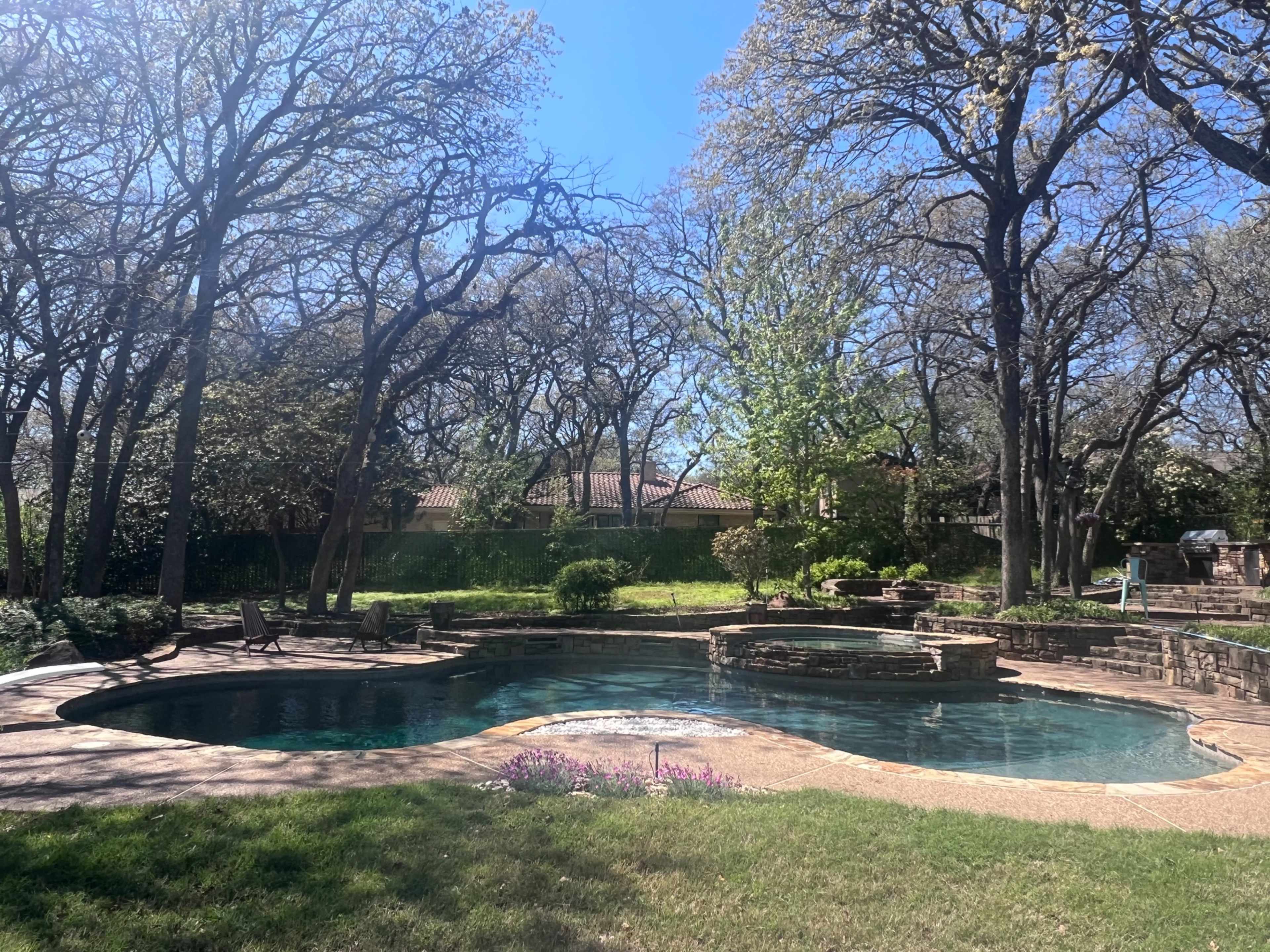 A natural stone pool surrounded by trees and a lawn in a residential backyard.
