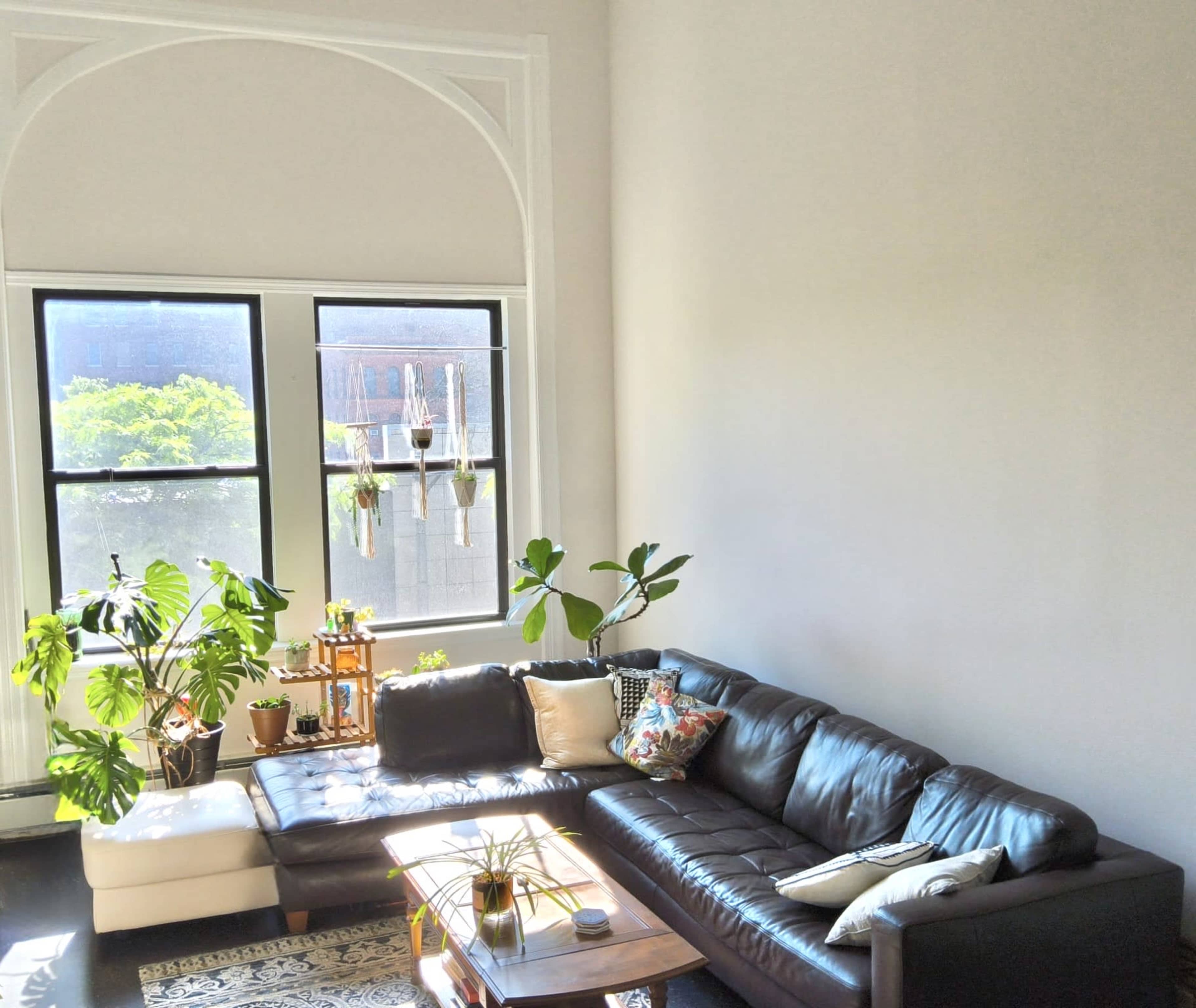 A modern living room features a dark leather sectional sofa, a wooden coffee table, and several potted plants near large windows.