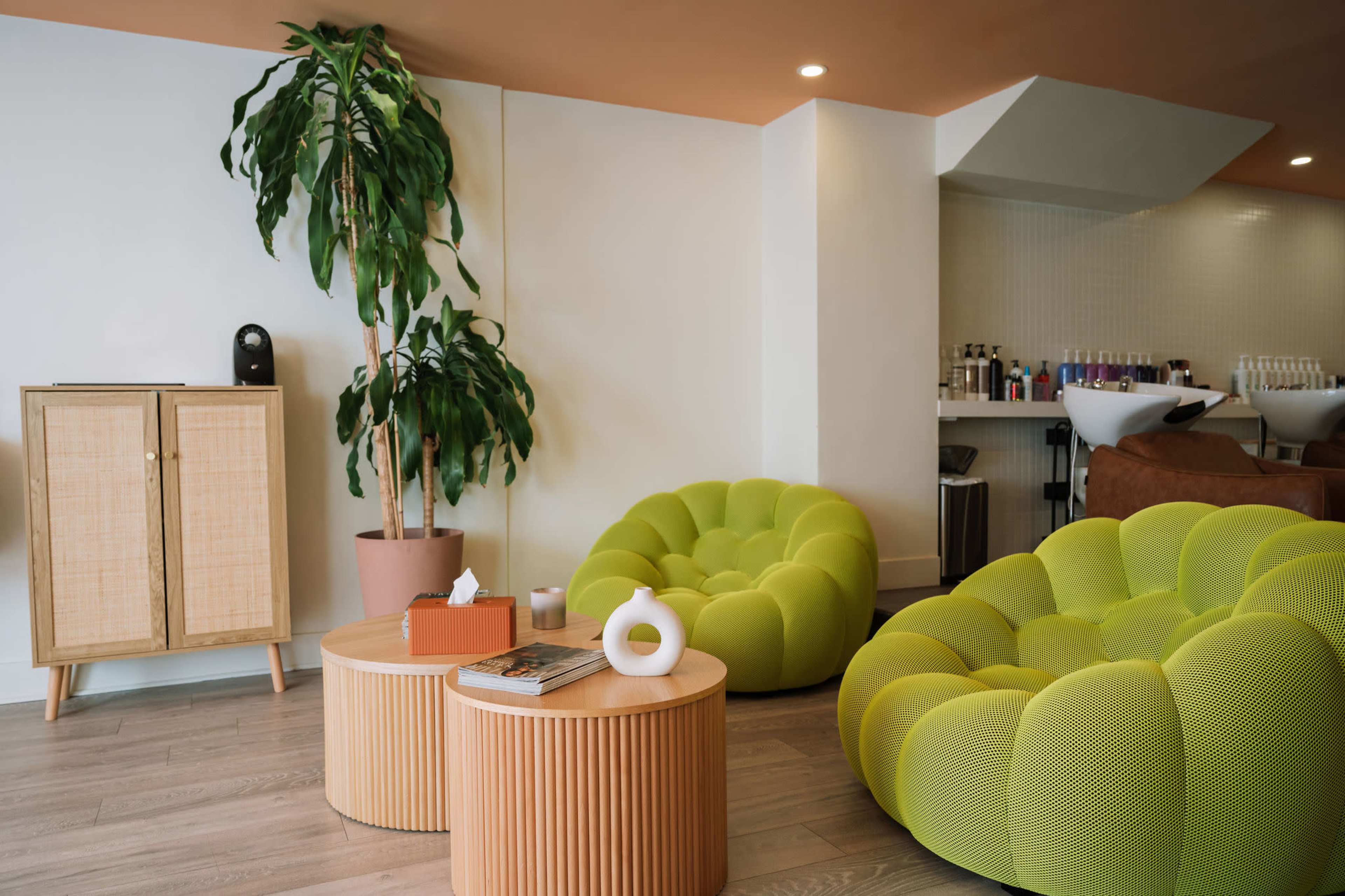 The image shows a modern lounge area with bright green seating, wooden tables, and a tall indoor plant against a light-colored wall.