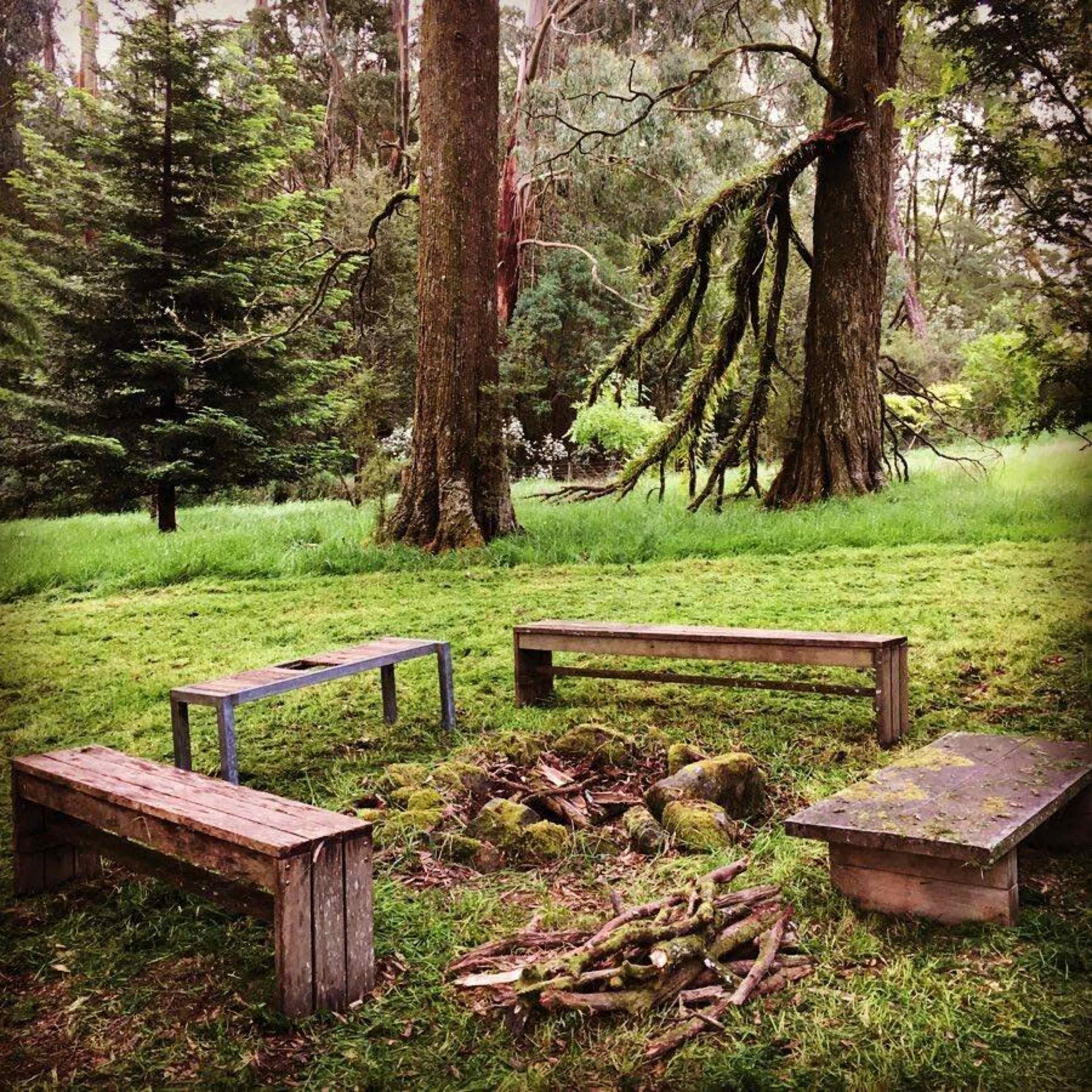 The scene shows a clearing in a forest with four wooden benches arranged around a stone fire pit.