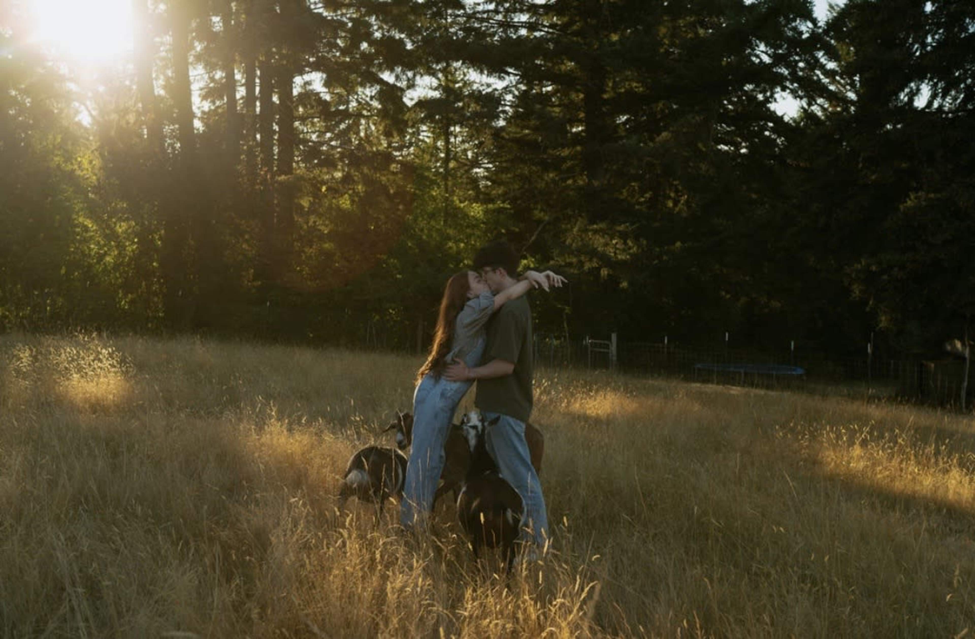 A couple embraces in a sunlit field surrounded by tall grass and trees.