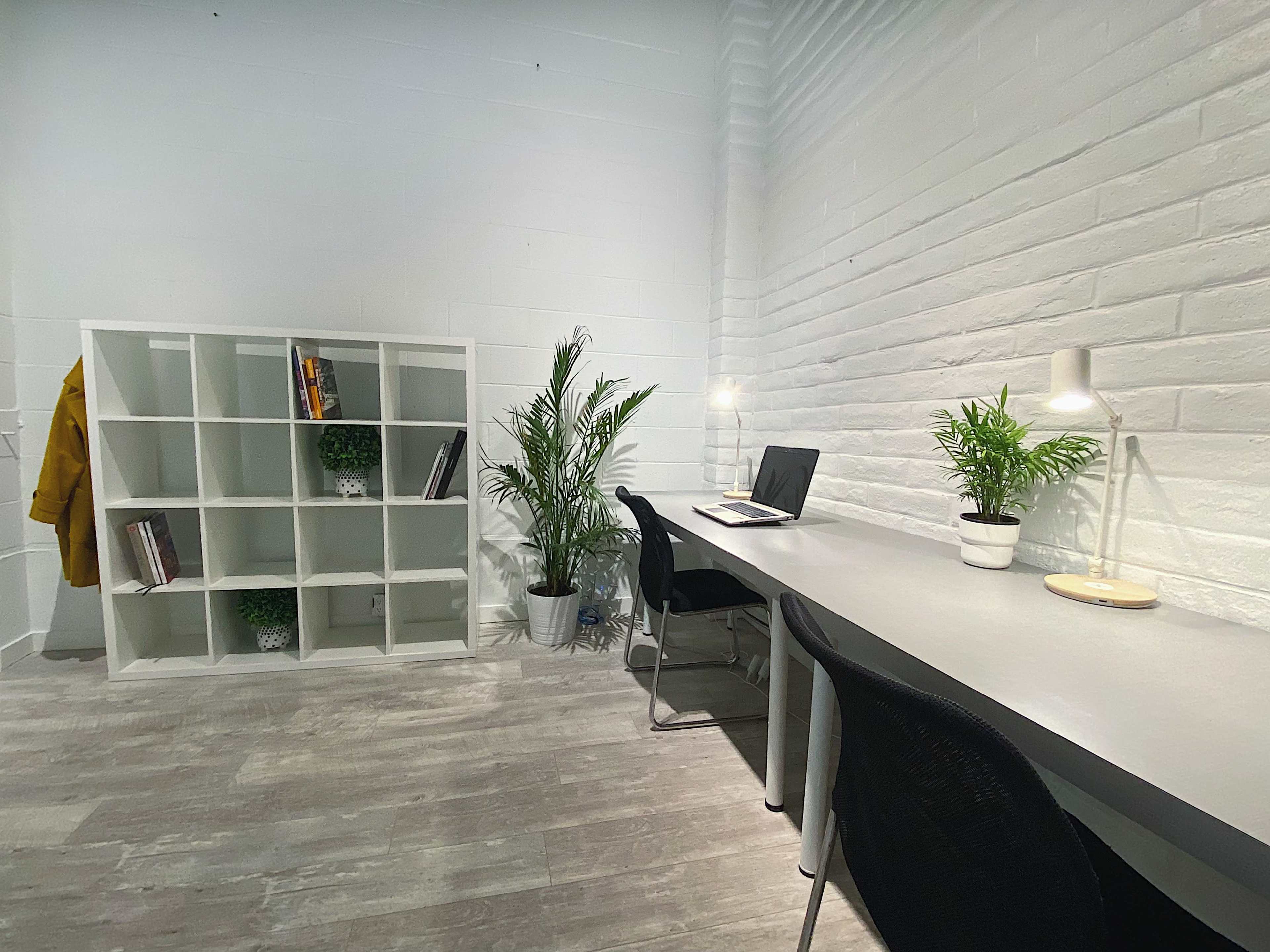 The image shows a minimalist office space featuring a white bookshelf, a desk with a laptop, and two potted plants.