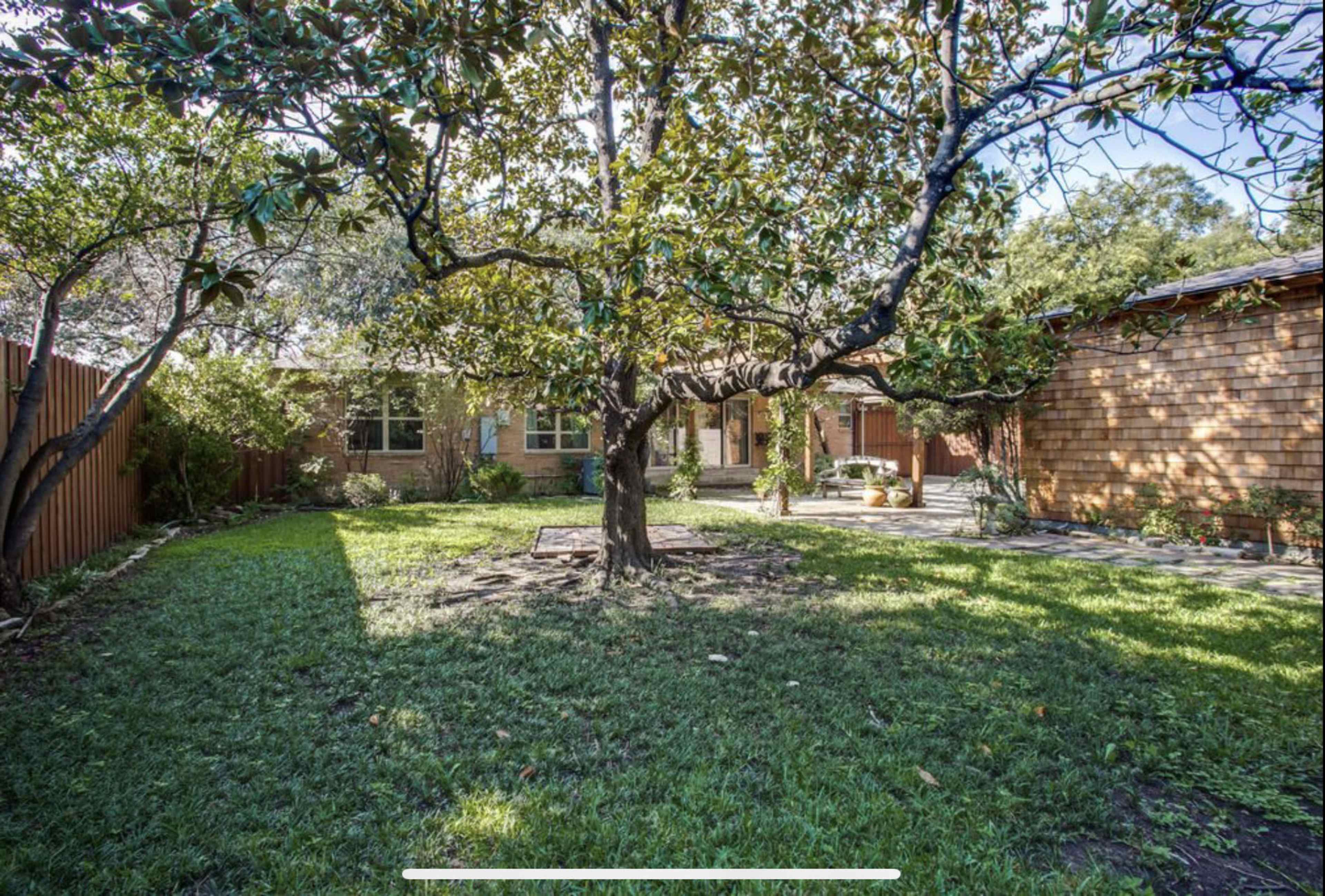 A backyard features a large tree surrounded by a grassy area and a wooden fence.