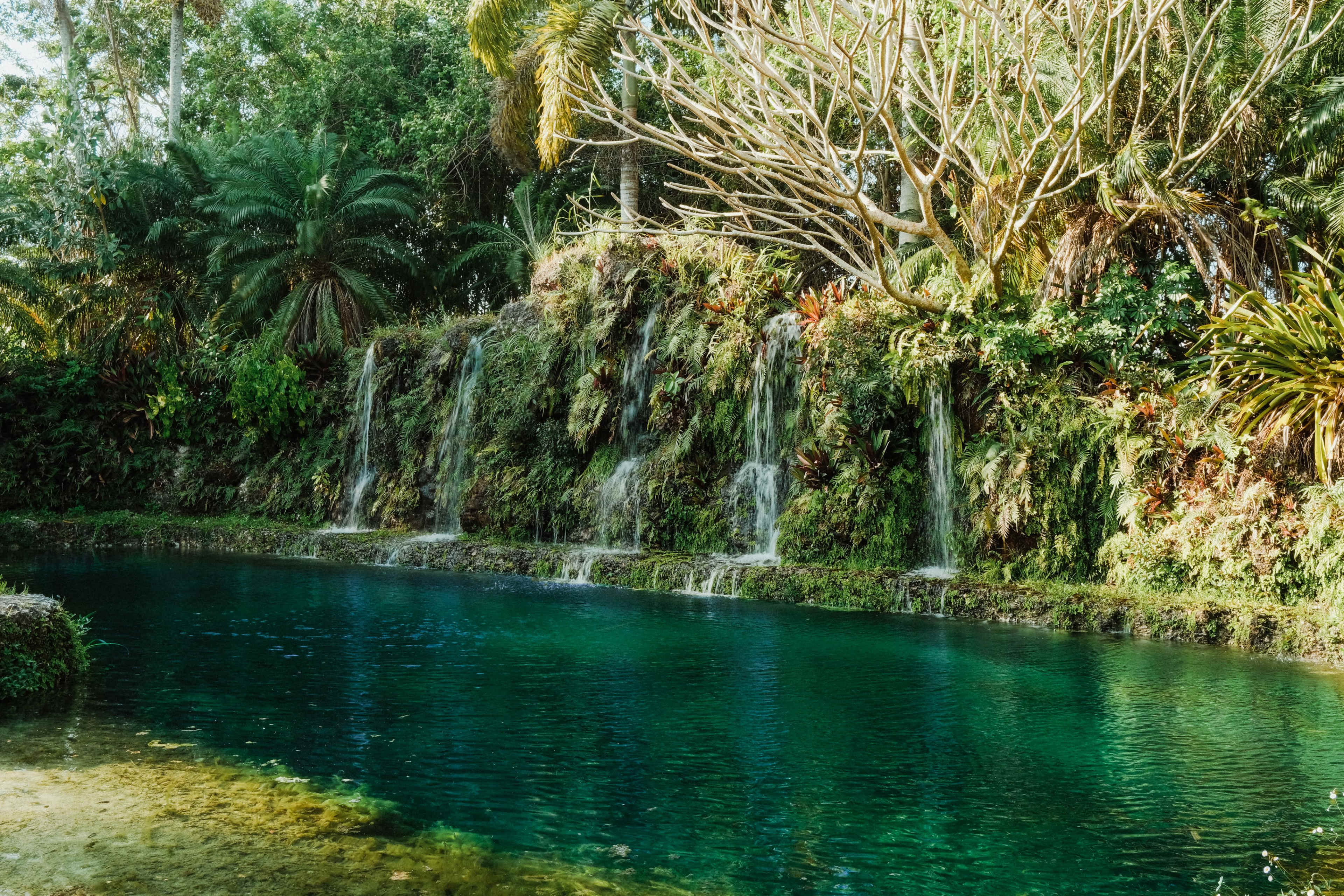 The image features a tranquil pool surrounded by lush greenery and cascading waterfalls.