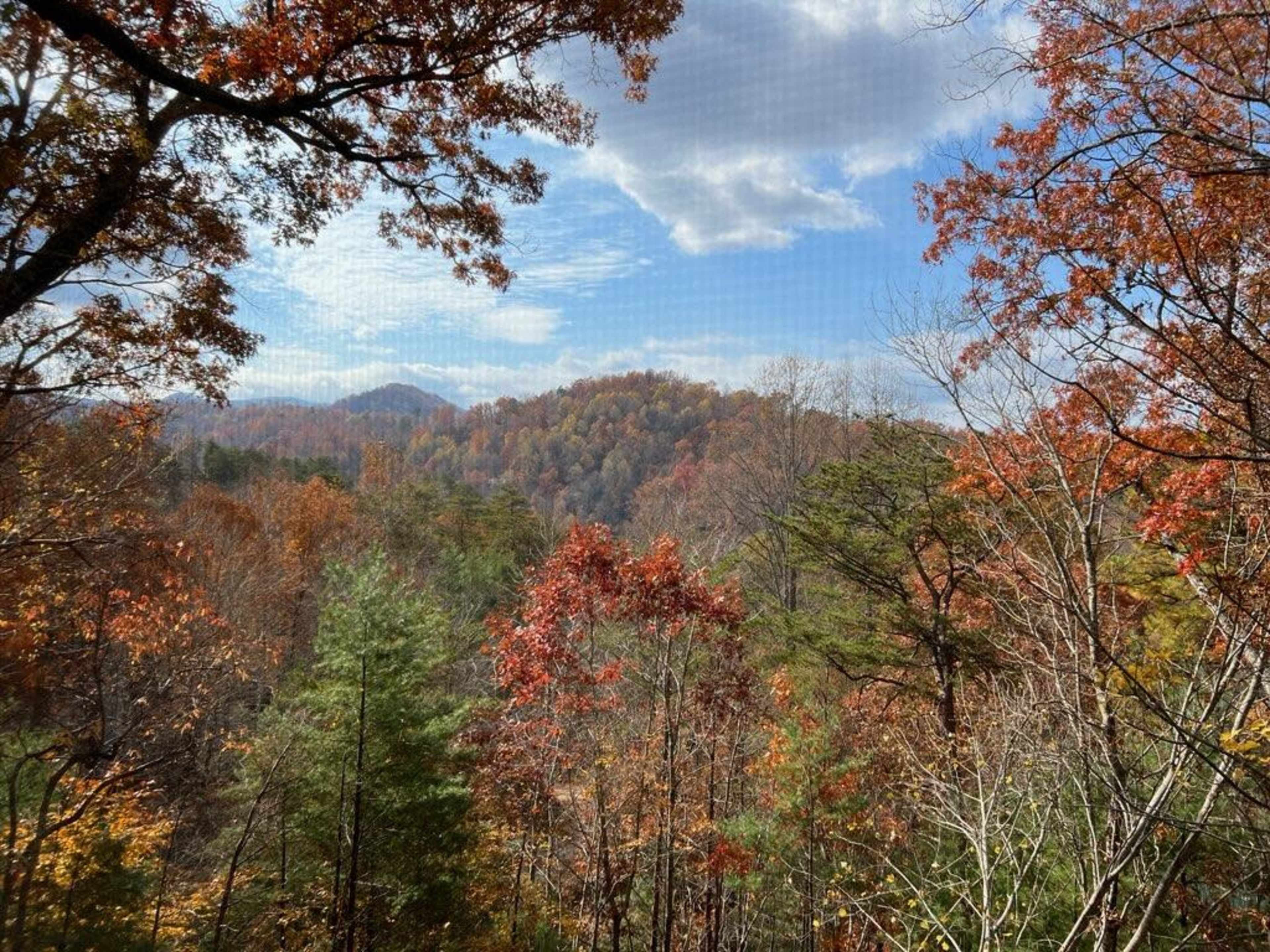 Spacious Two Bedroom Cabin Image in , Sevierville, TN