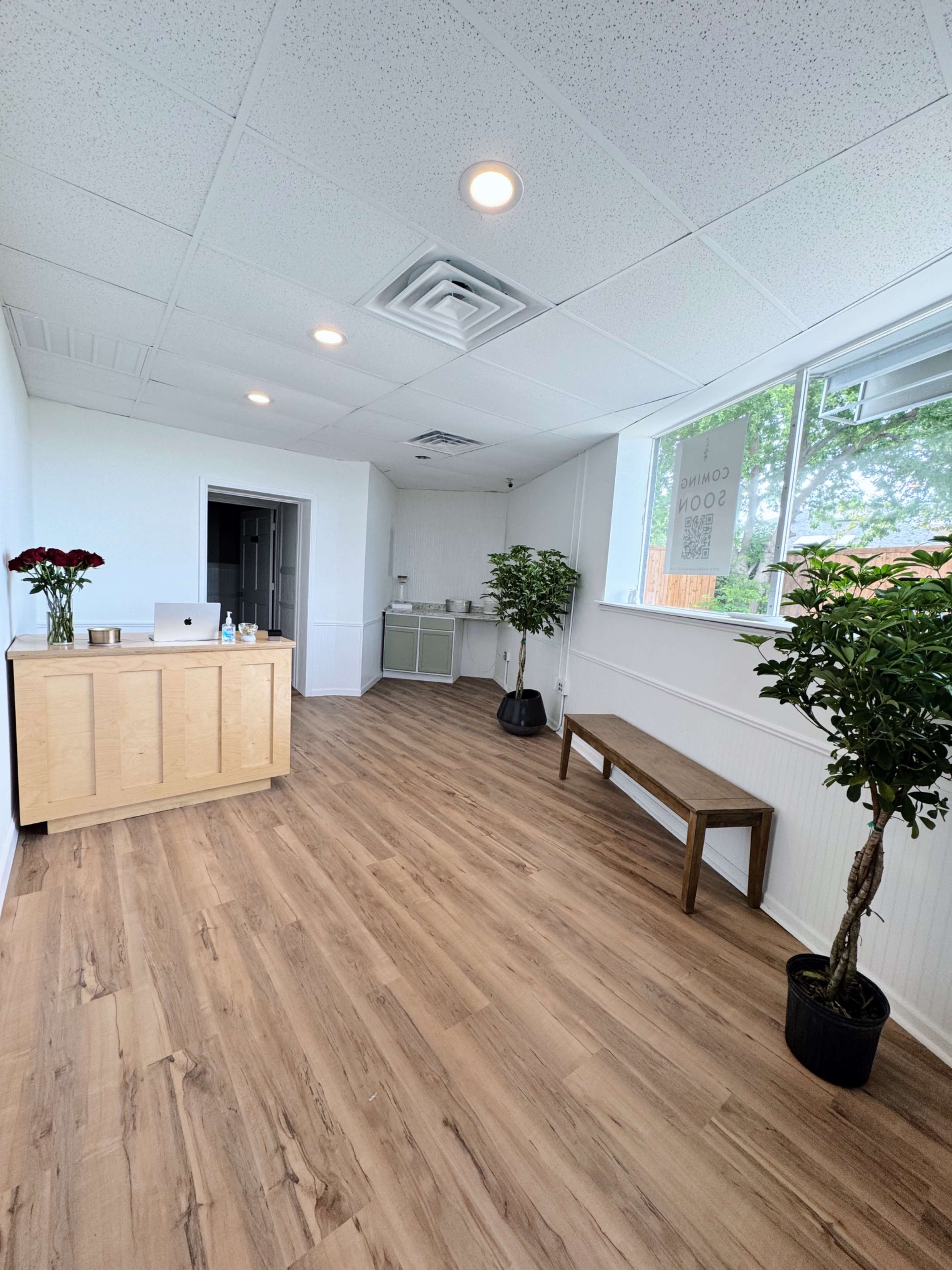 A bright, modern reception area with wooden flooring, a small counter, two potted plants, and a bench.