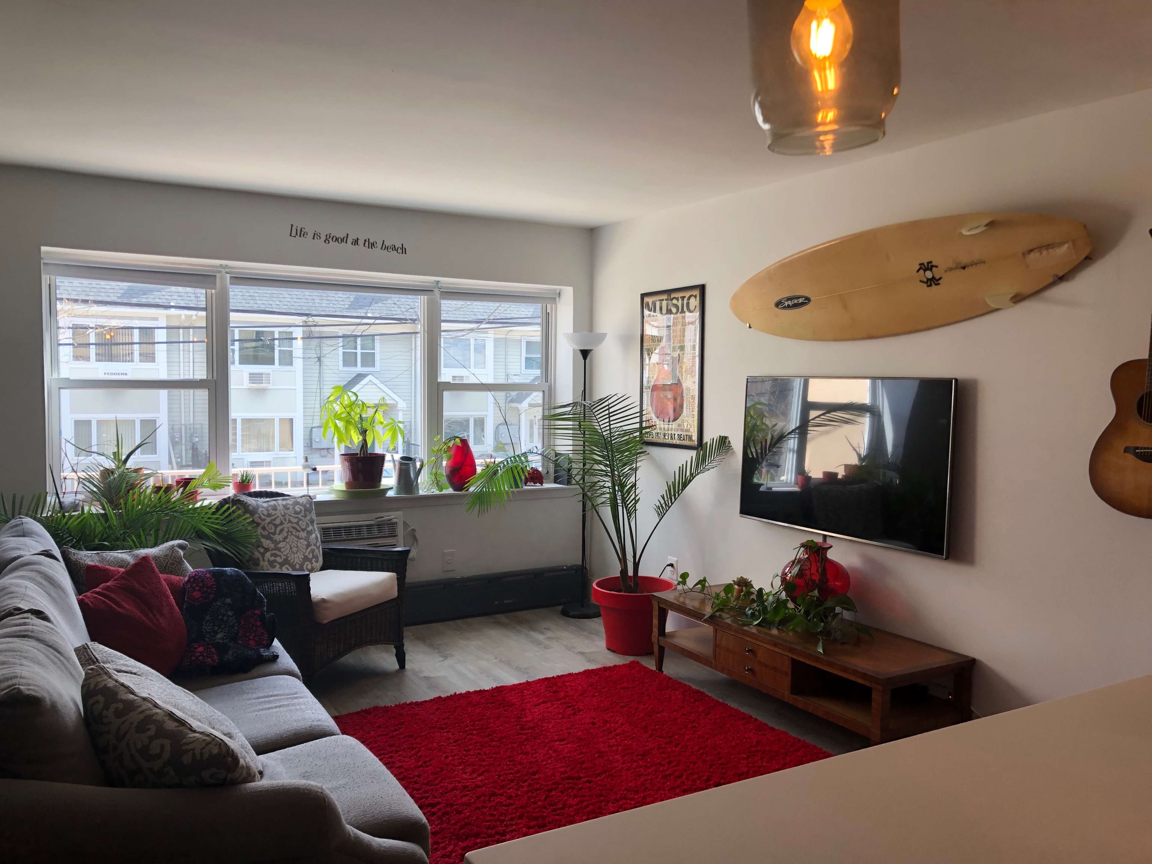 A cozy living room features a gray sofa, a large red rug, a television mounted on the wall, a surfboard, and several plants near the windows.