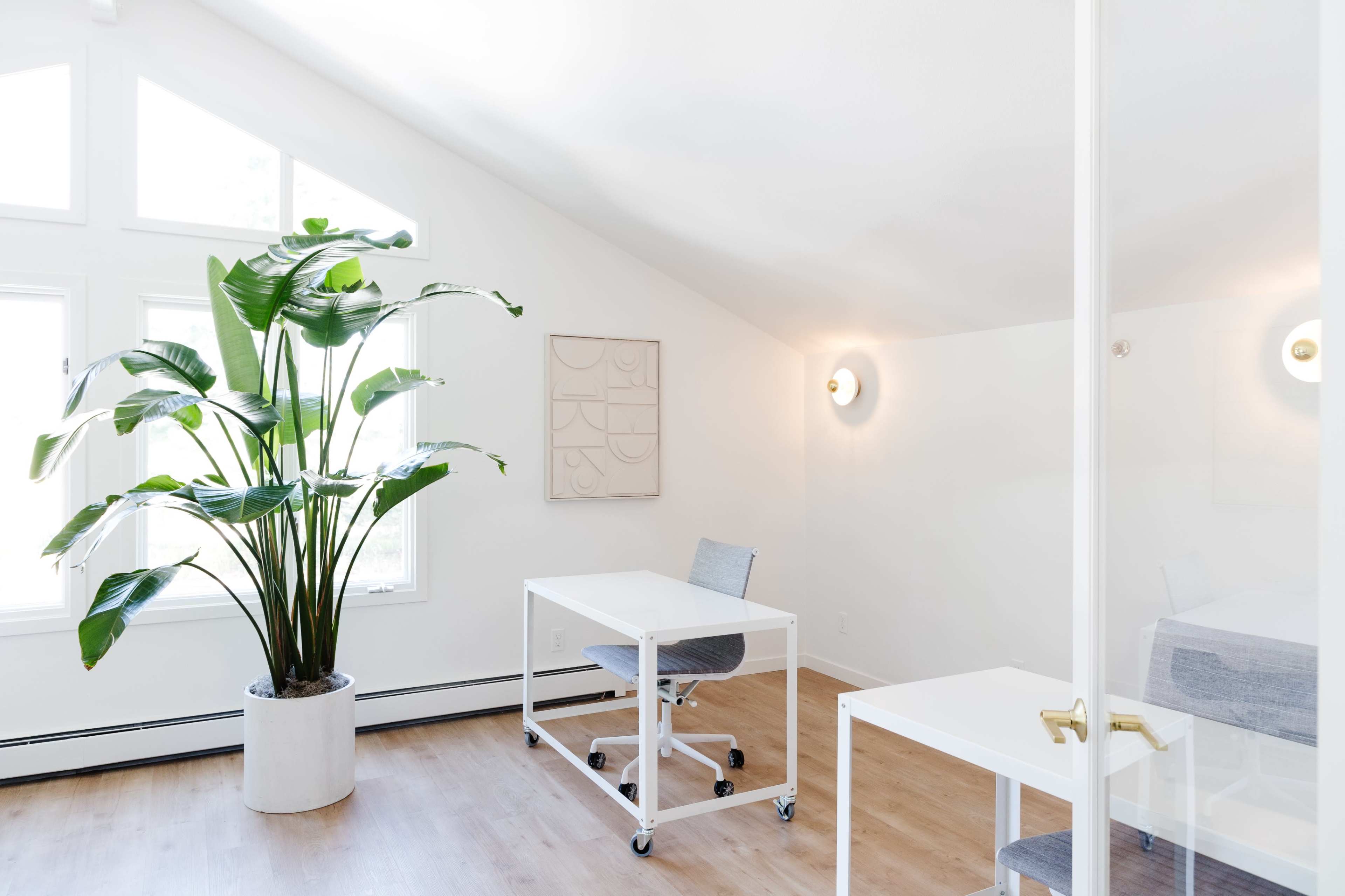 A minimalistic office space features two white desks, a chair, and a large potted plant beside a window, offering ample natural light.